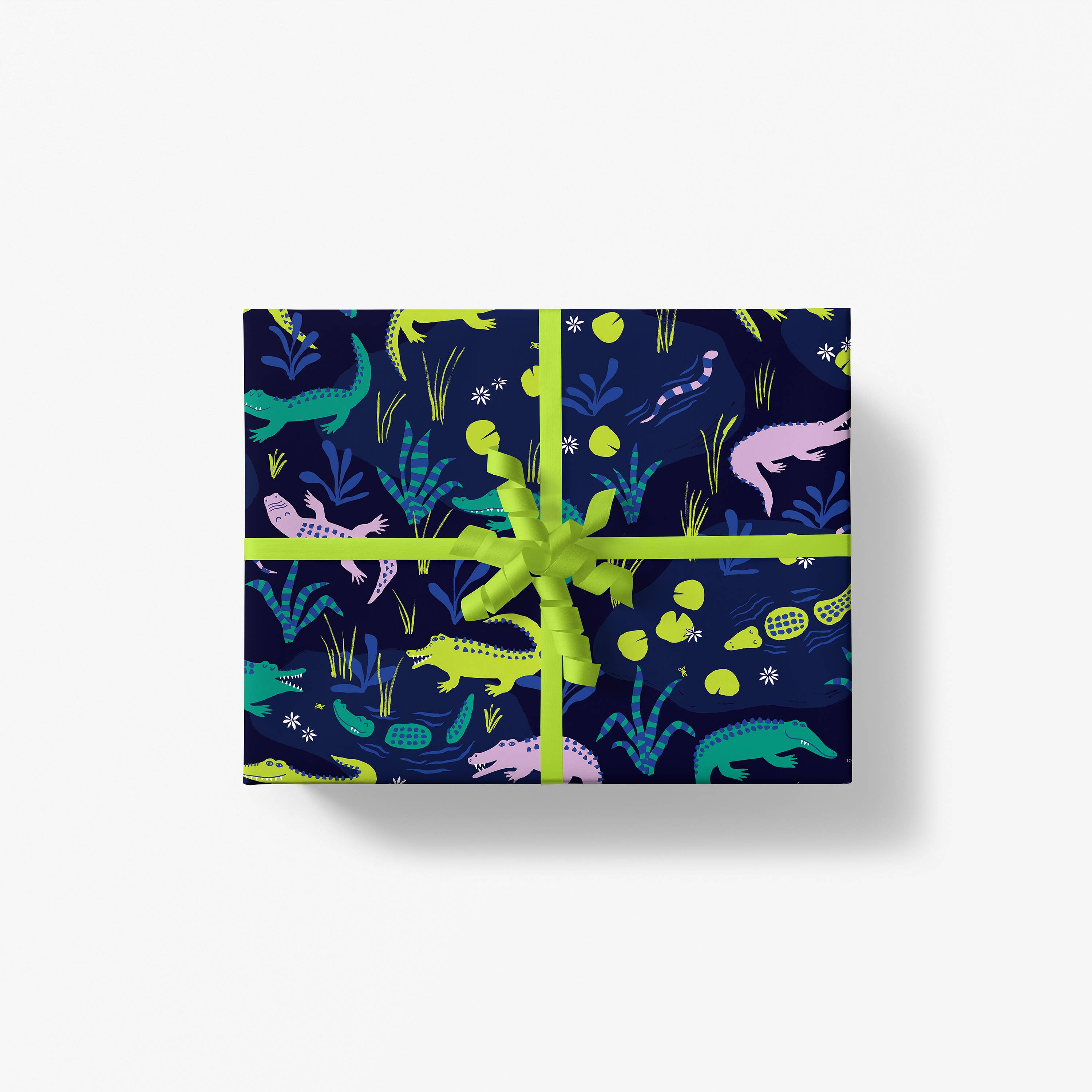 Swamp Buddies Gift Wrap