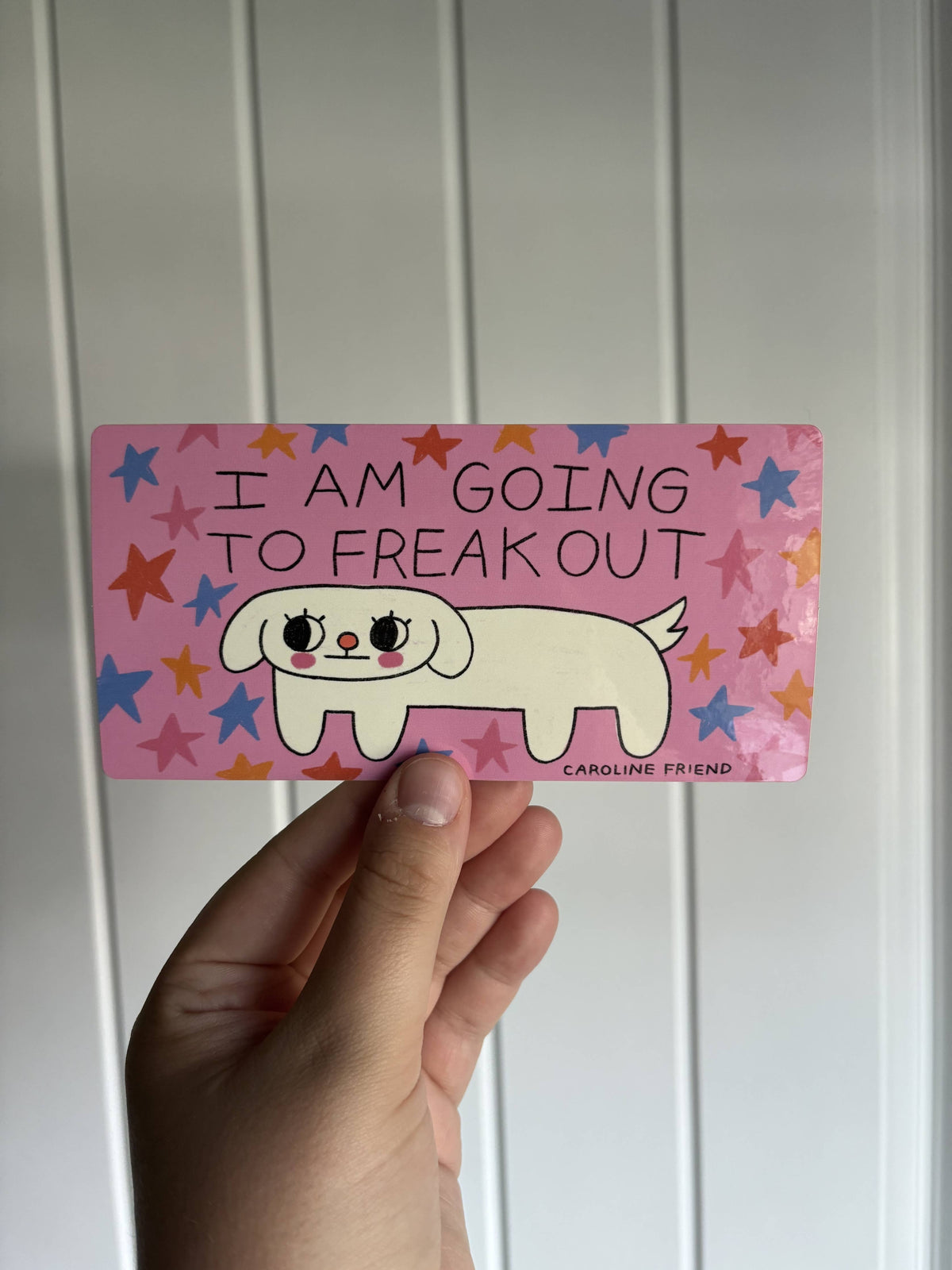 I Am Going to Freak Out Bumper Sticker