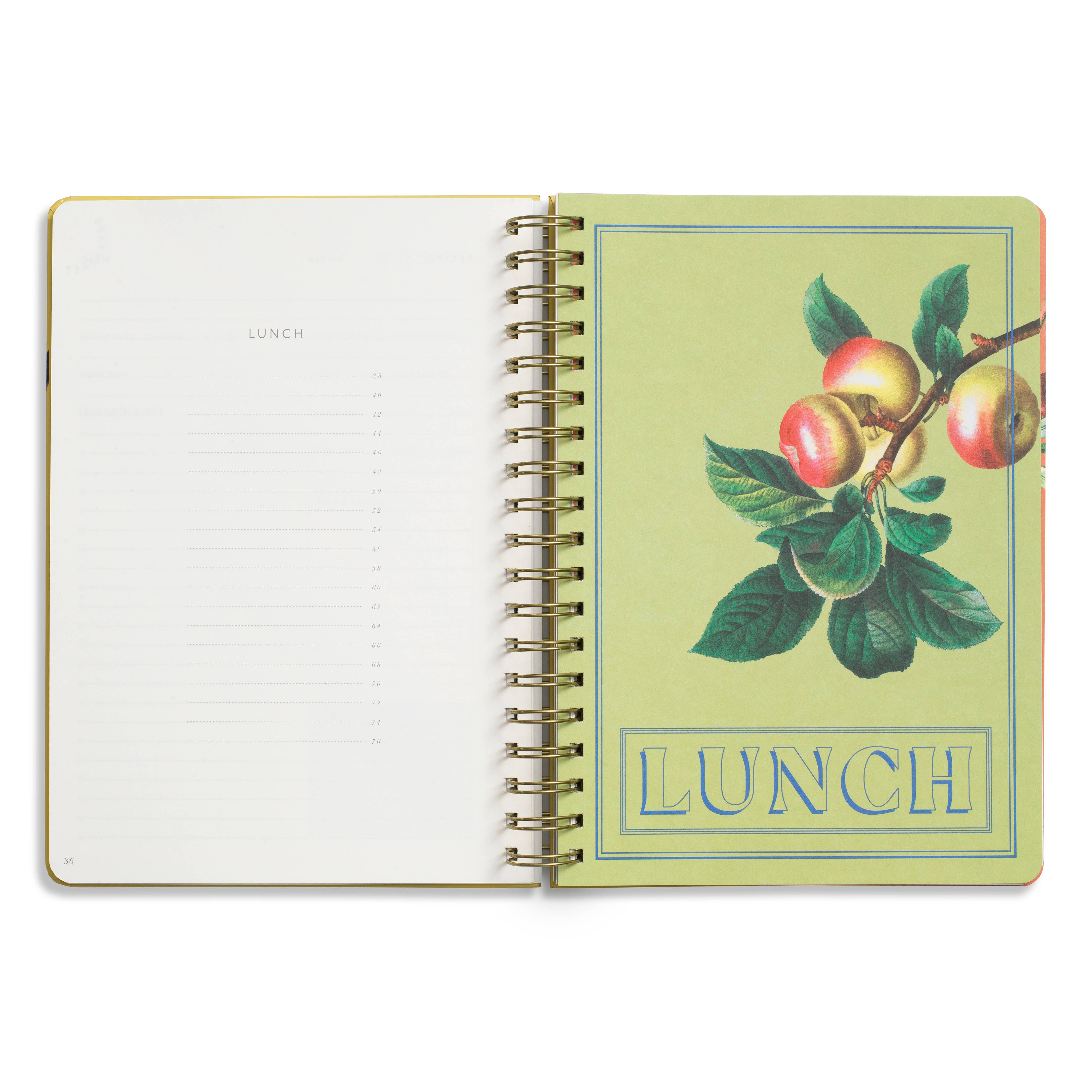Recipe Journal / B5 size / Tangelos