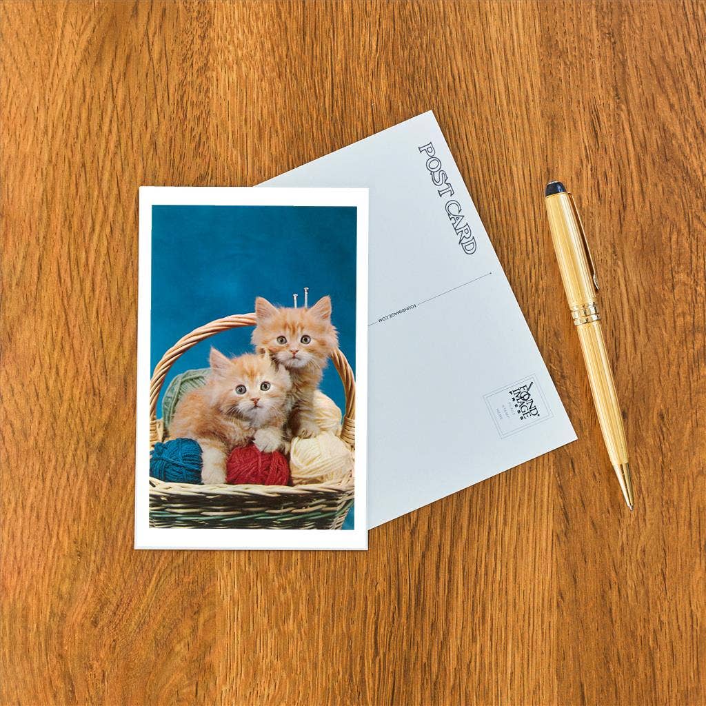 Kittens in Yarn Basket Postcard