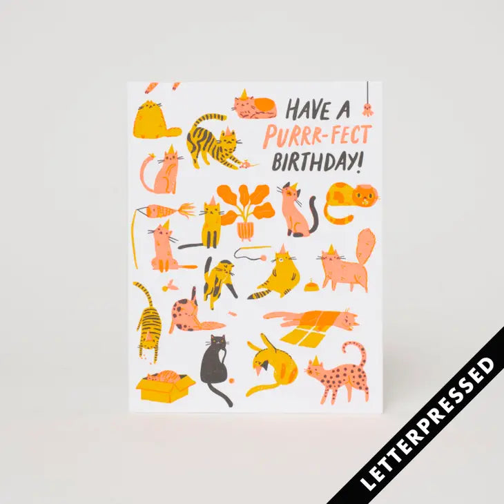 Purr-Fect Birthday Card