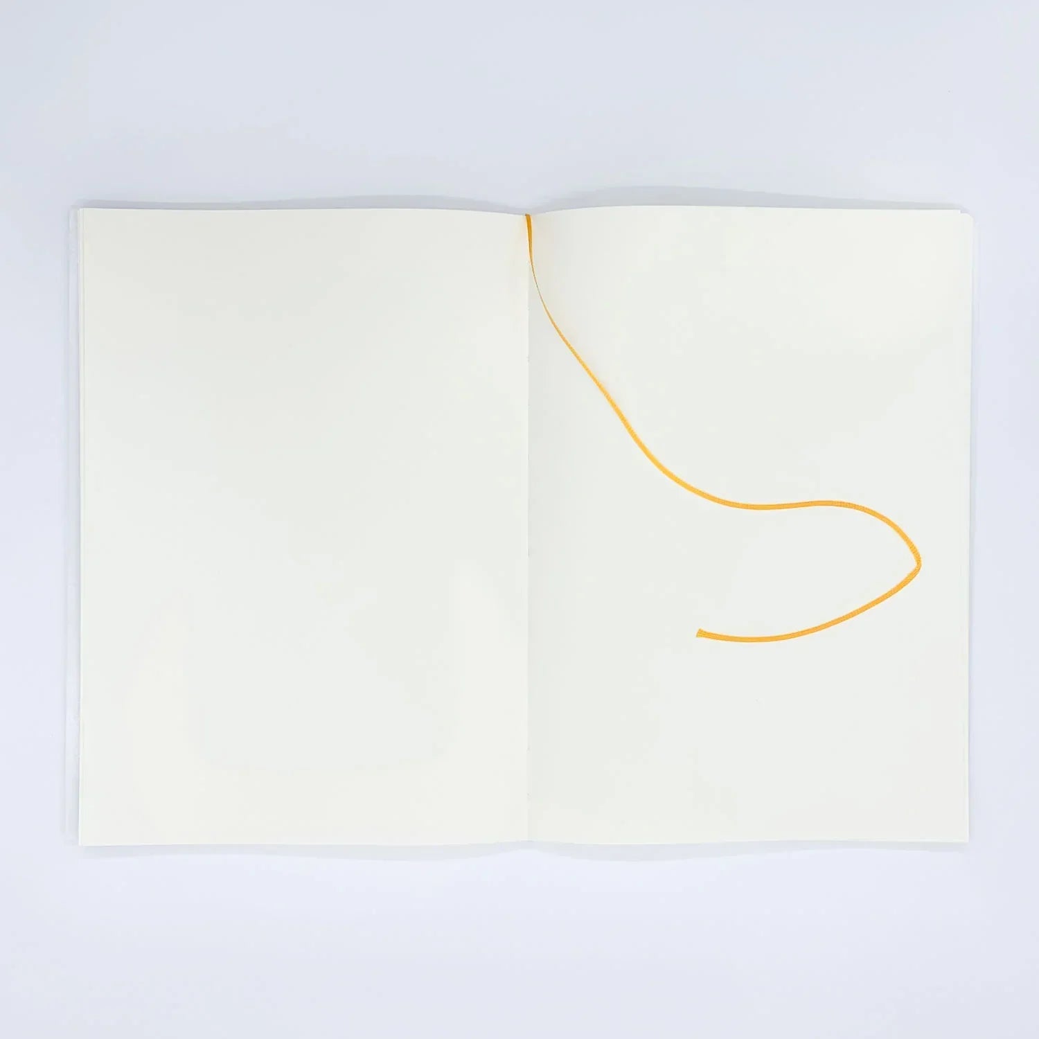 MD Notebook / A5 / blank