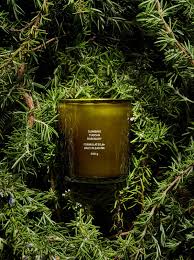 Climbing Tuscan Rosemary Candle by Flamingo Estate