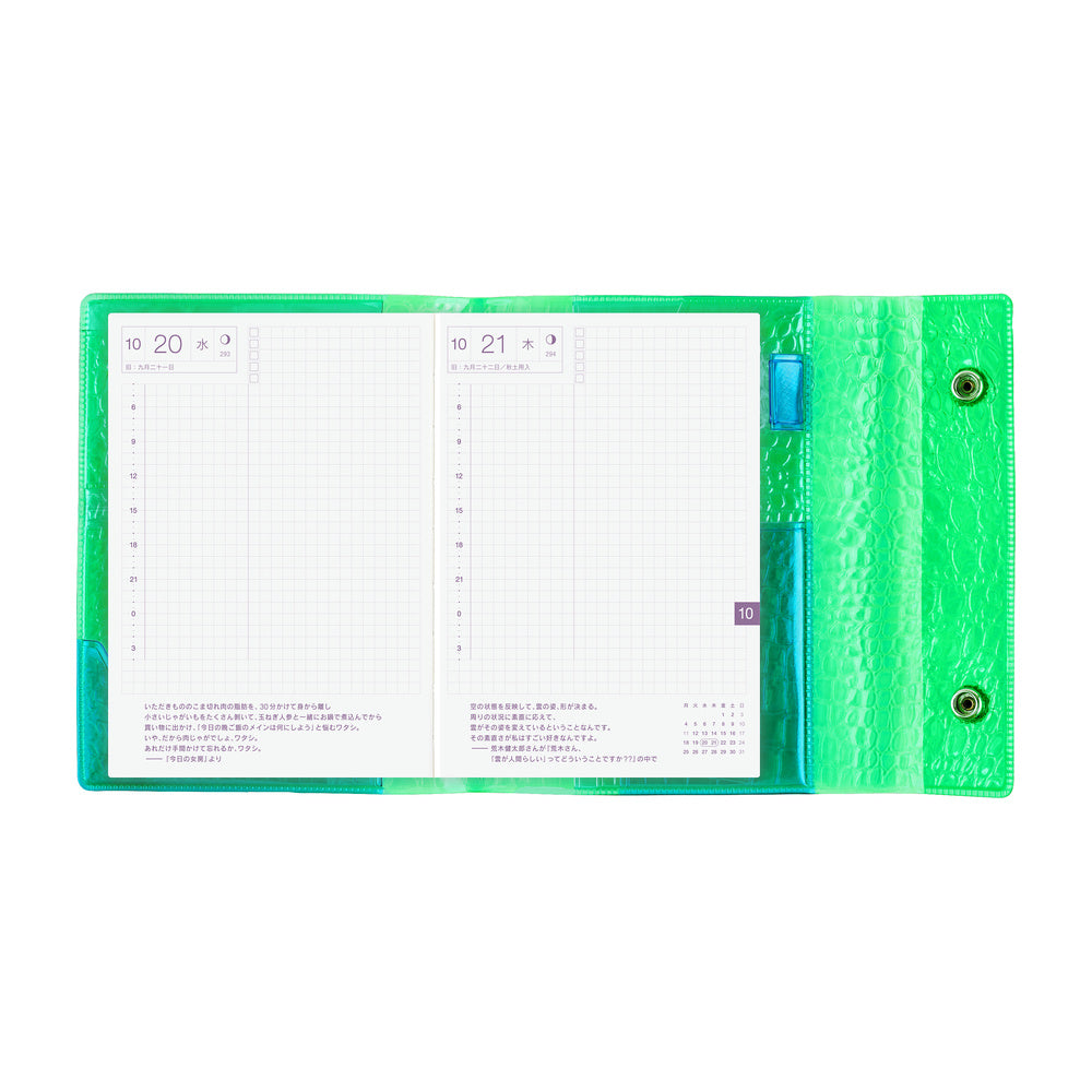 Hobonichi Techo Cover / A6 / beautiful people: Nothing to Hide (Green)