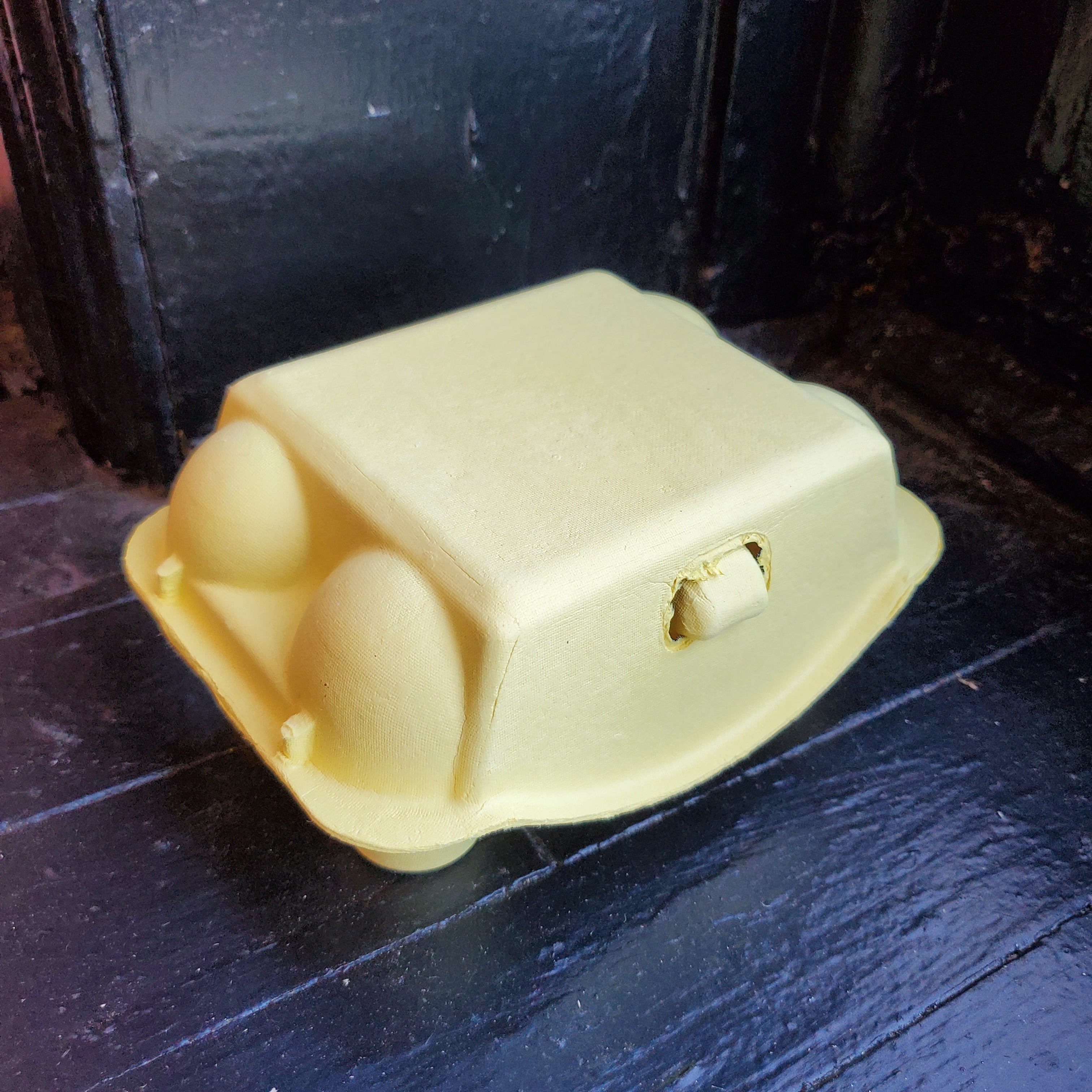Paper Pulp Egg Carton