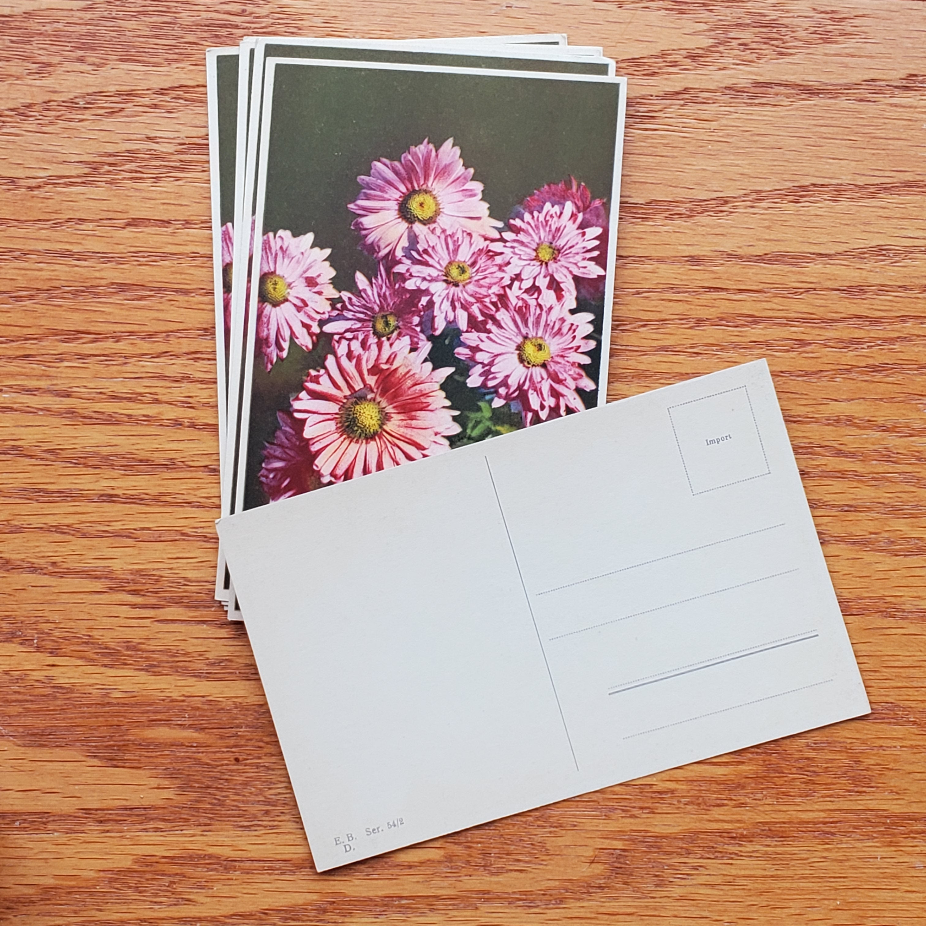 Floral Vintage E.D.B. Postcards