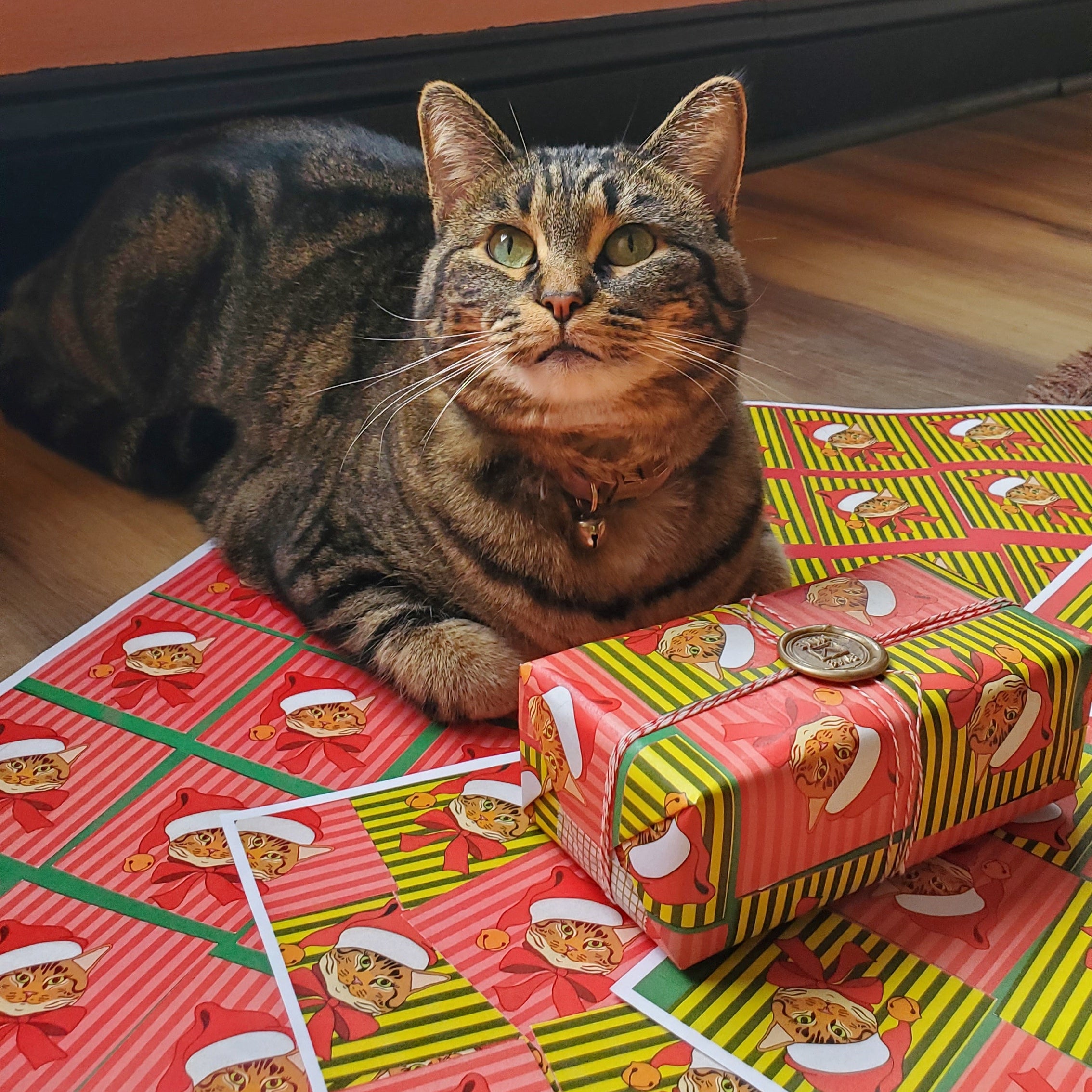 Parsnip Holiday Gift Wrap / Limited Edition / 3 Sheets