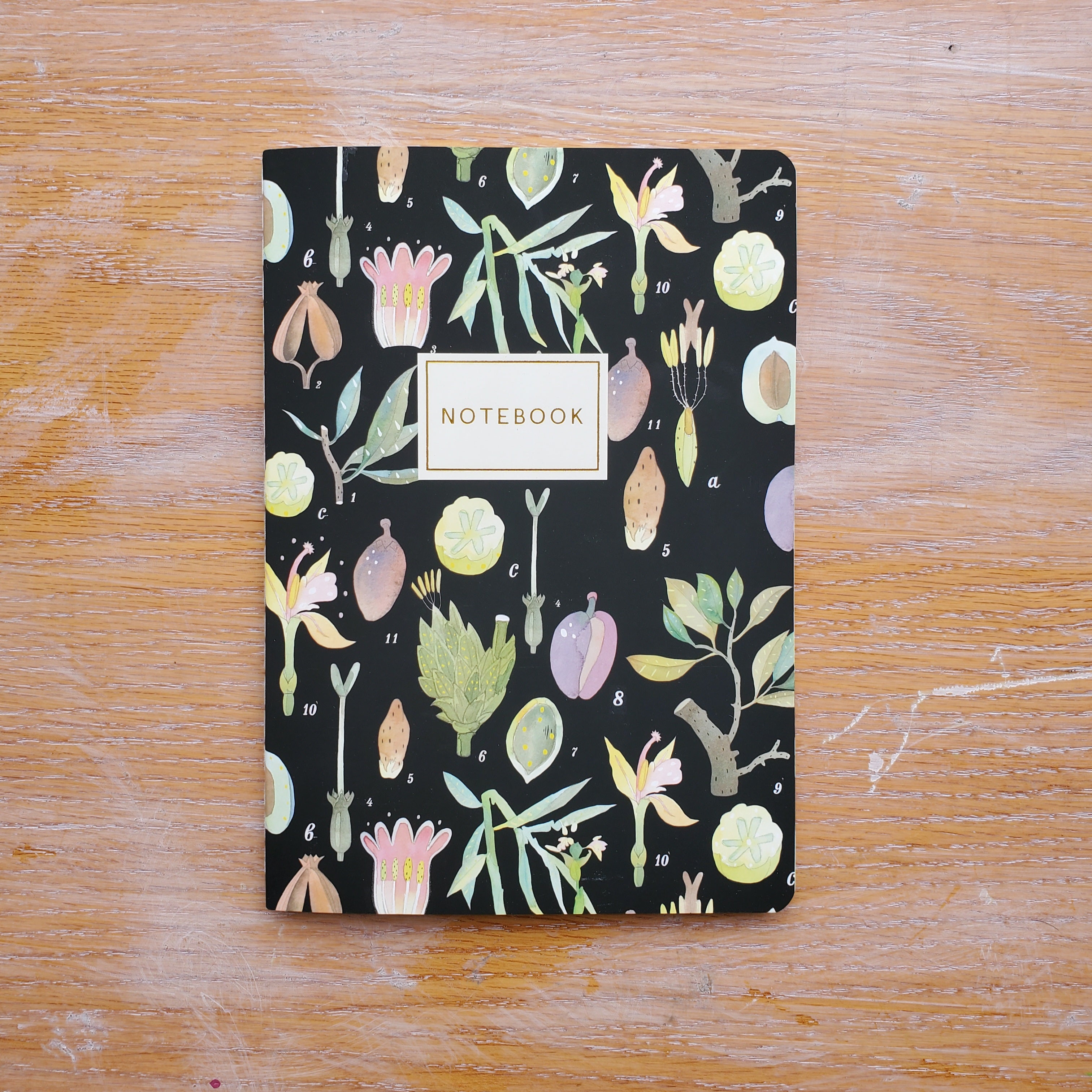 Botany Notebook