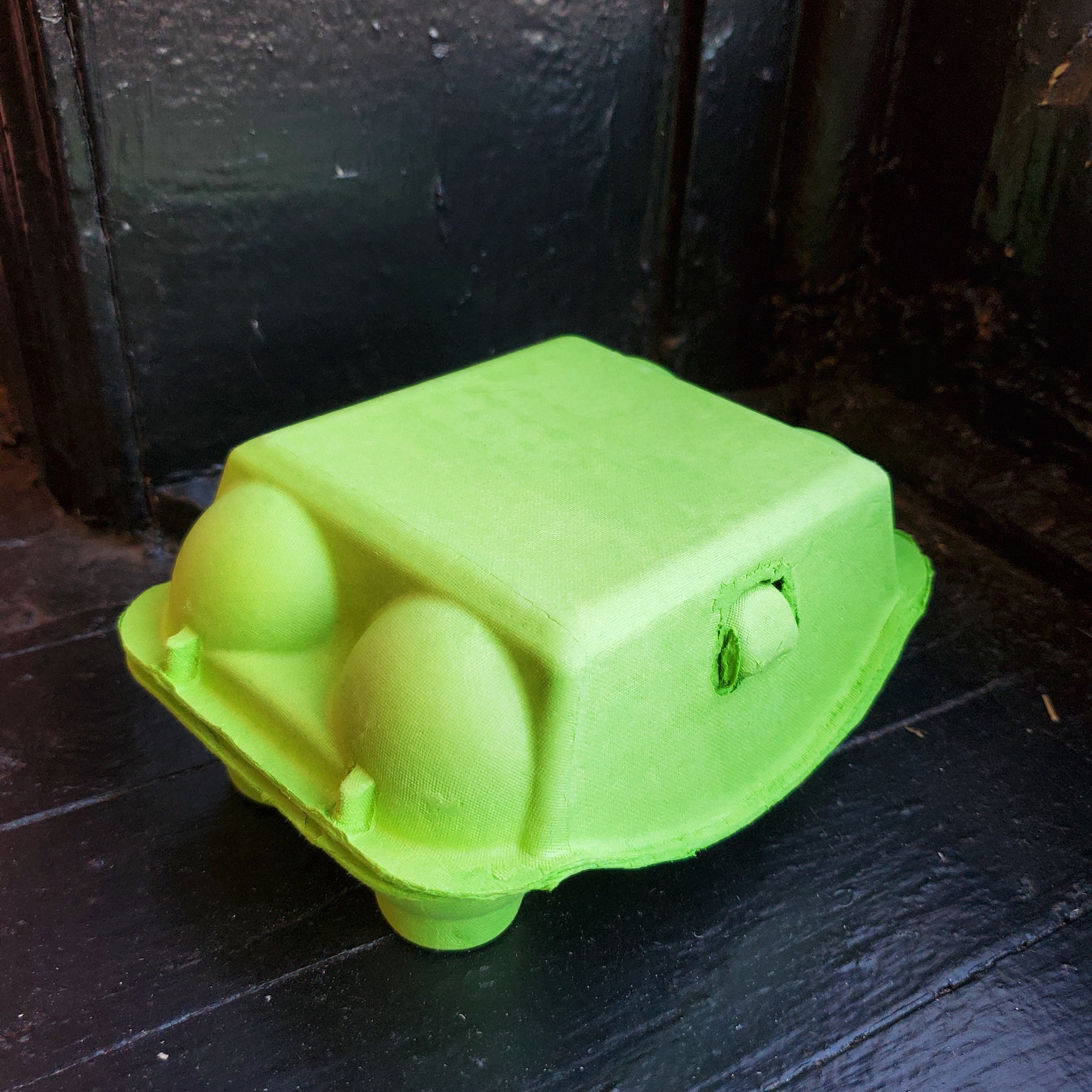 Paper Pulp Egg Carton