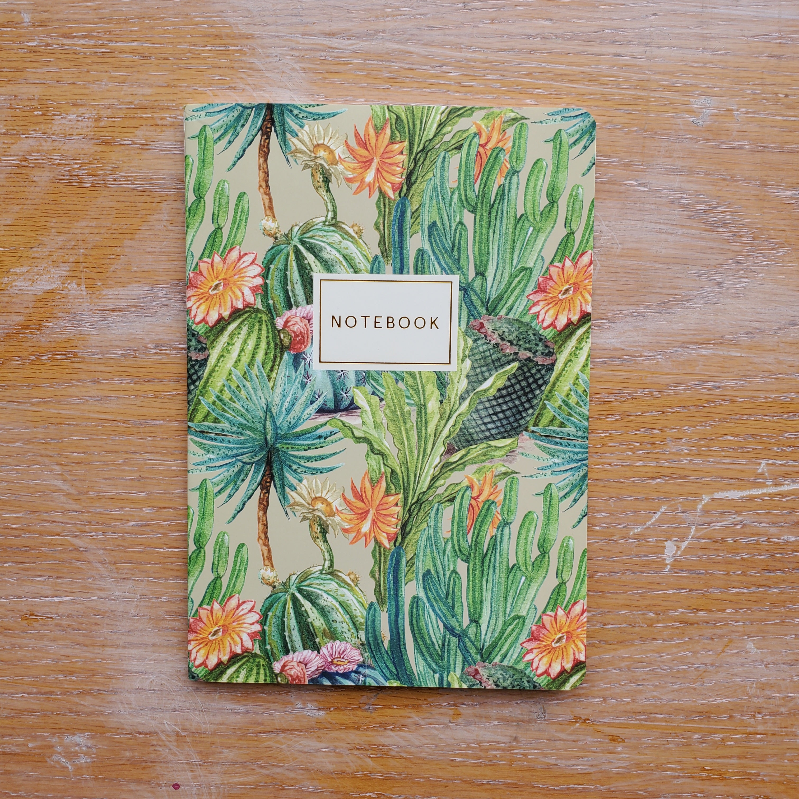 Green Cactus Notebook