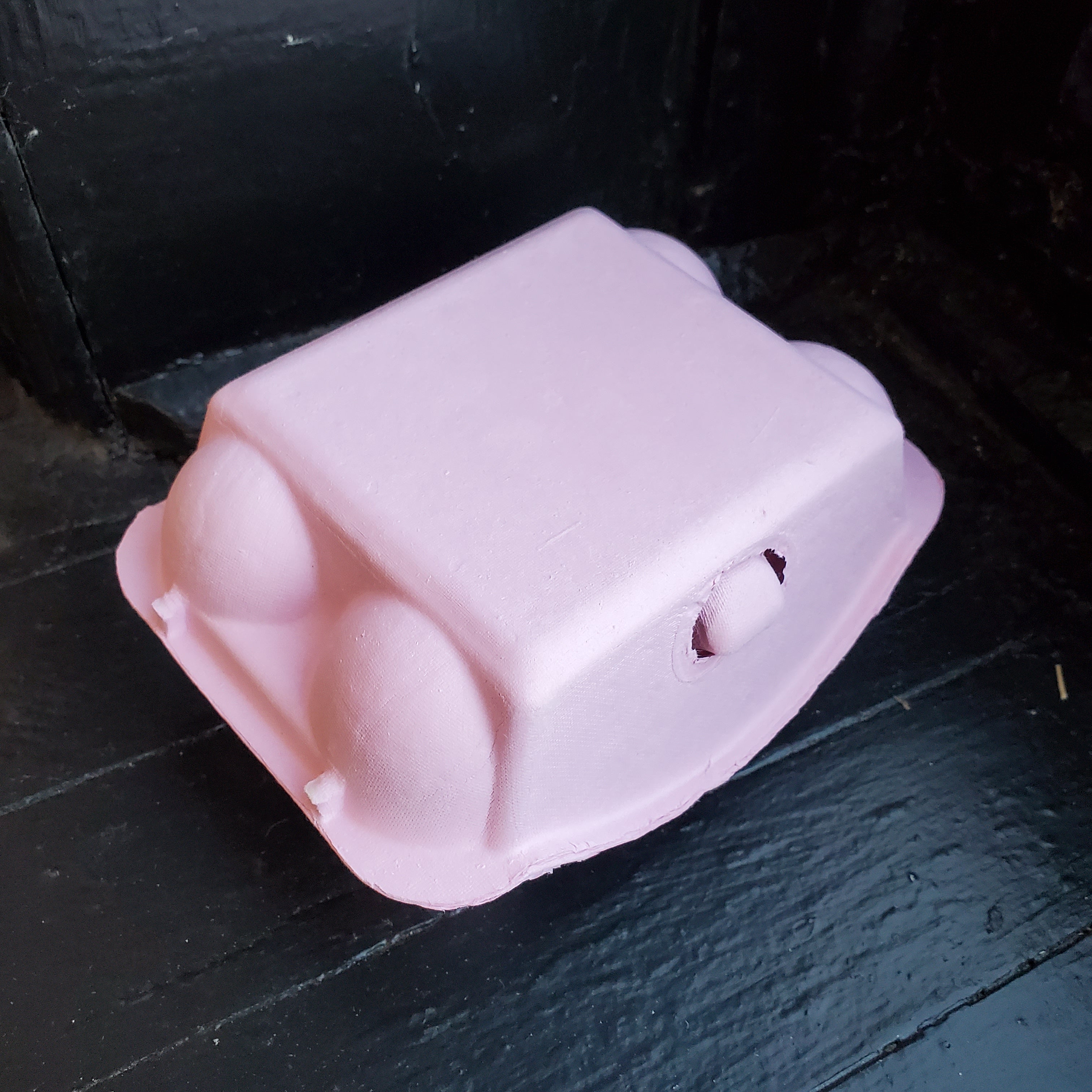 Paper Pulp Egg Carton