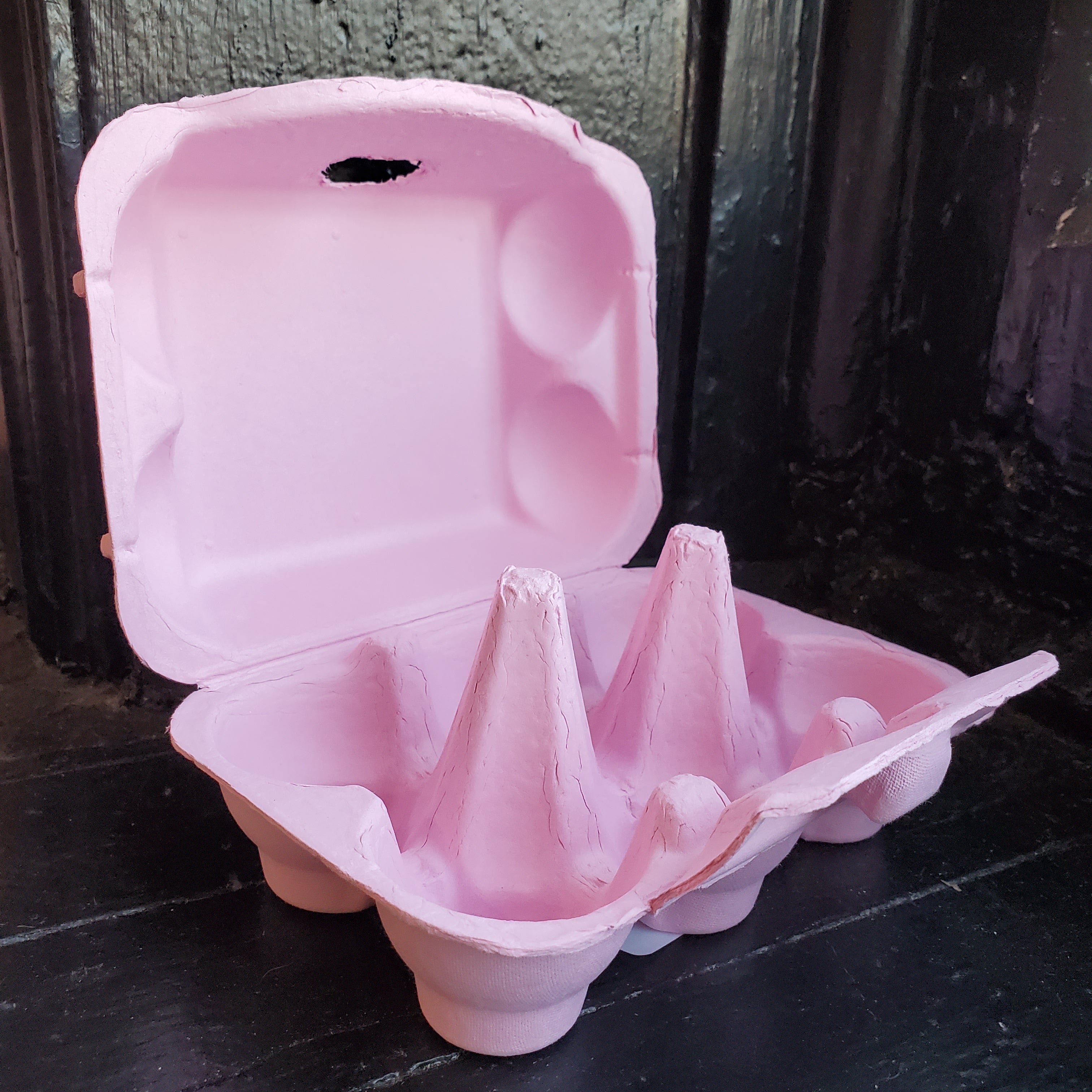 Paper Pulp Egg Carton