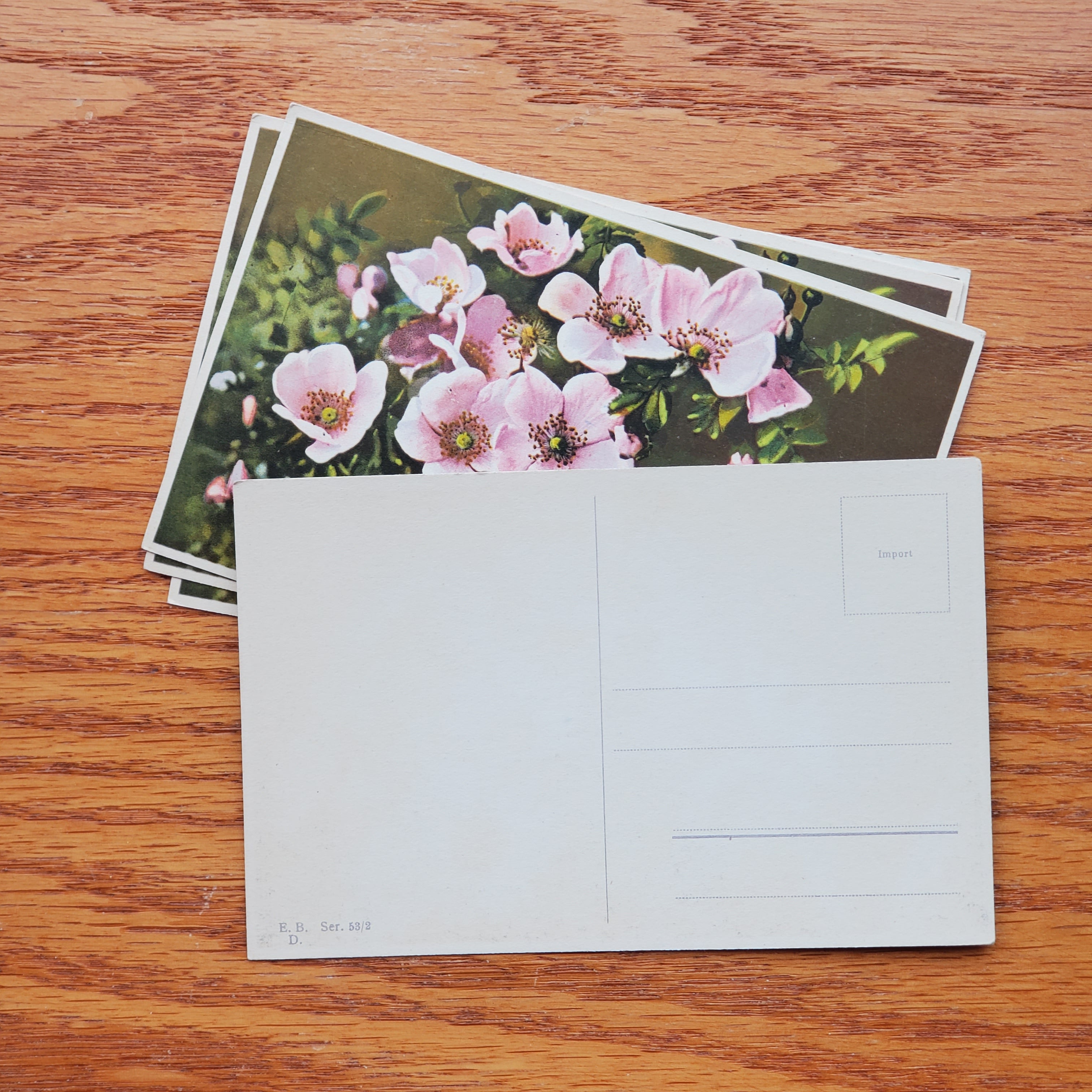 Floral Vintage E.D.B. Postcards