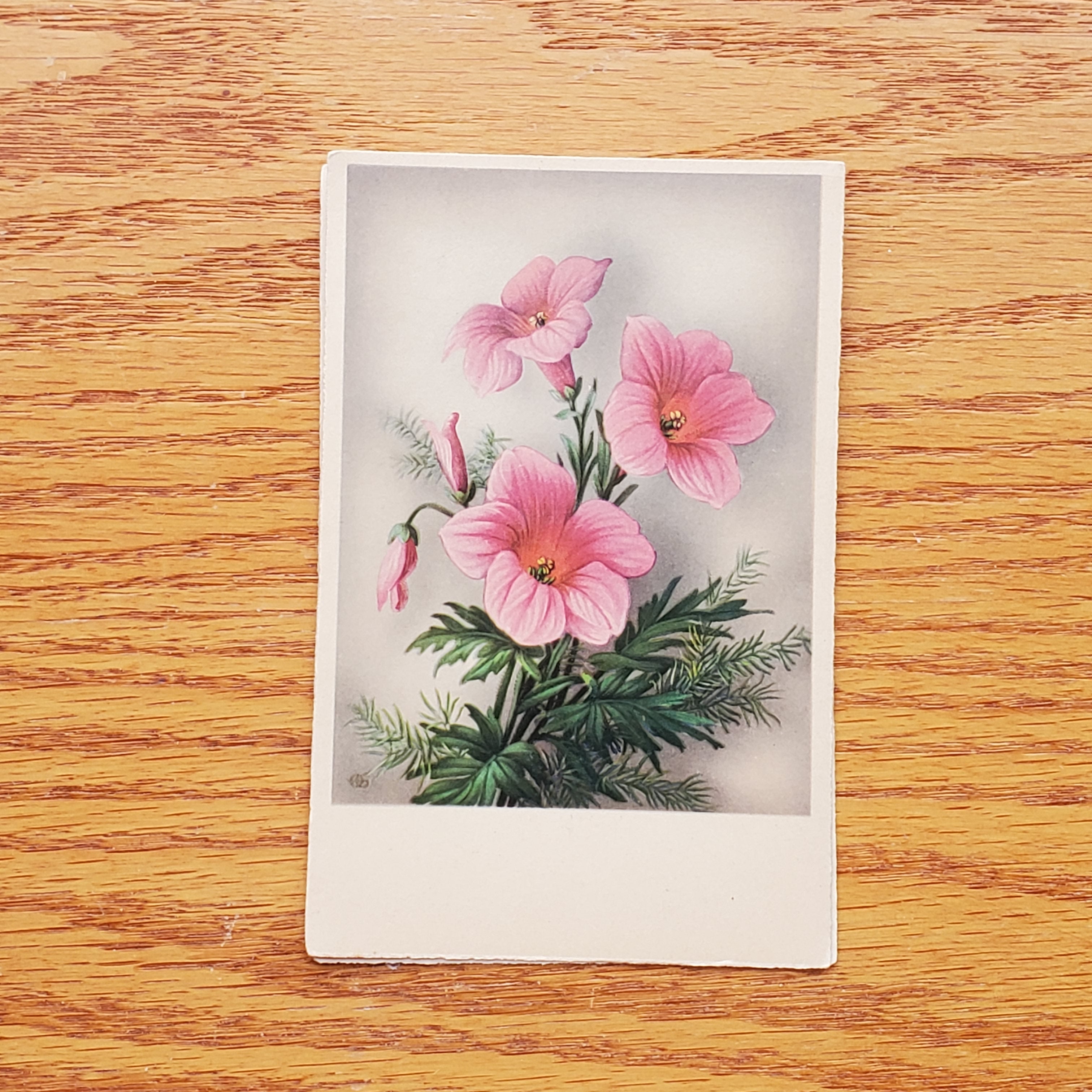 Floral Vintage H.A.&Co Postcards