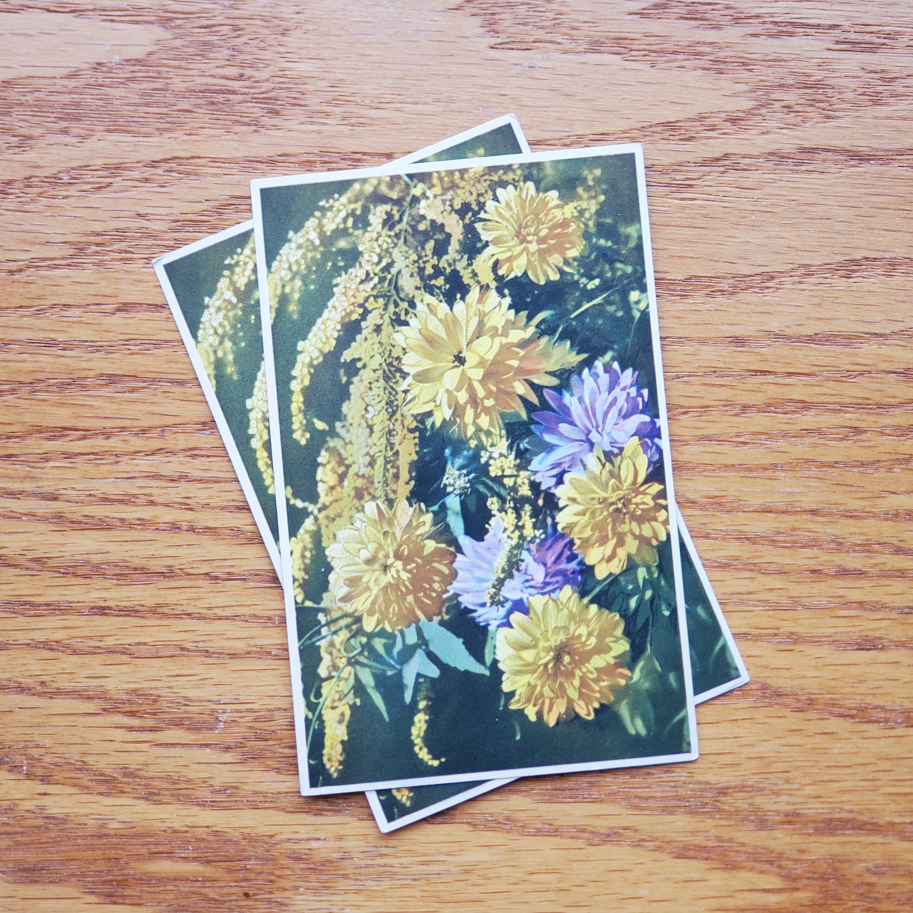 Floral Vintage E.D.B. Postcards