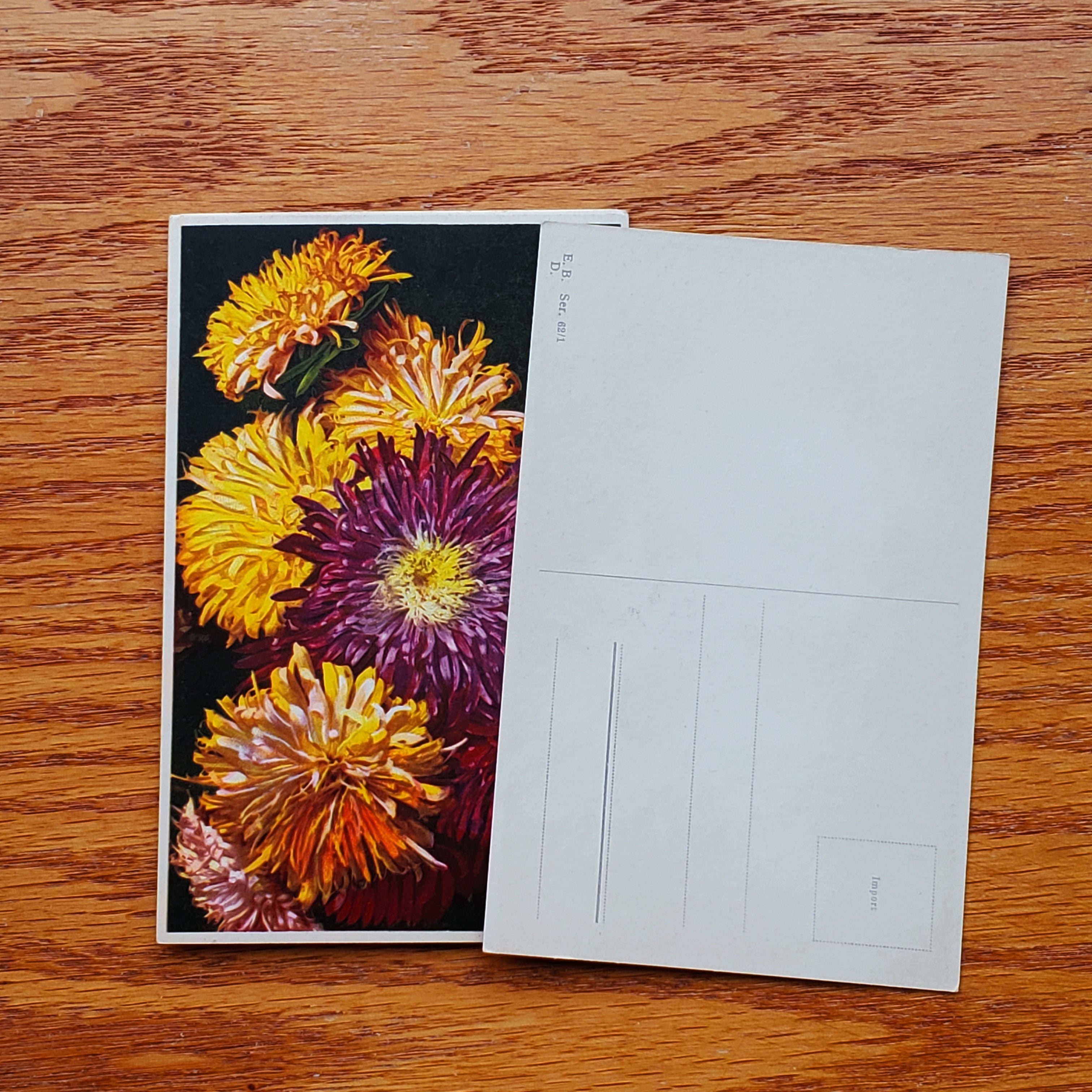 Floral Vintage E.D.B. Postcards