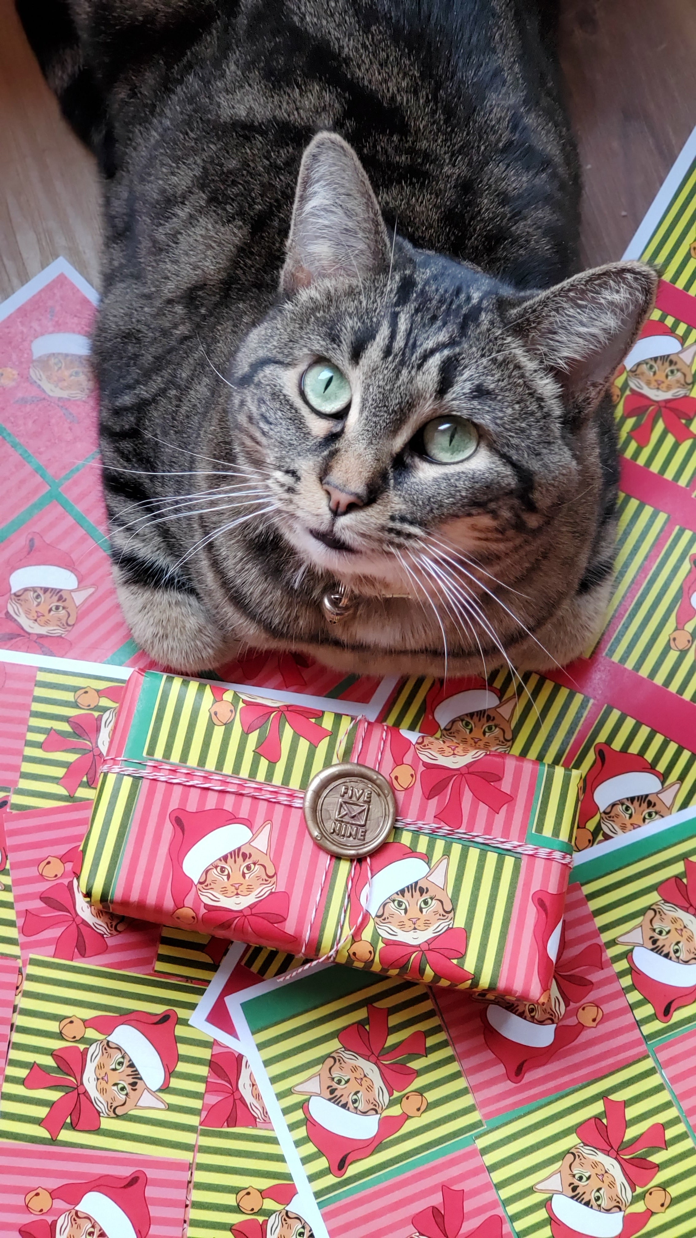 Parsnip Holiday Gift Wrap / Limited Edition / 3 Sheets