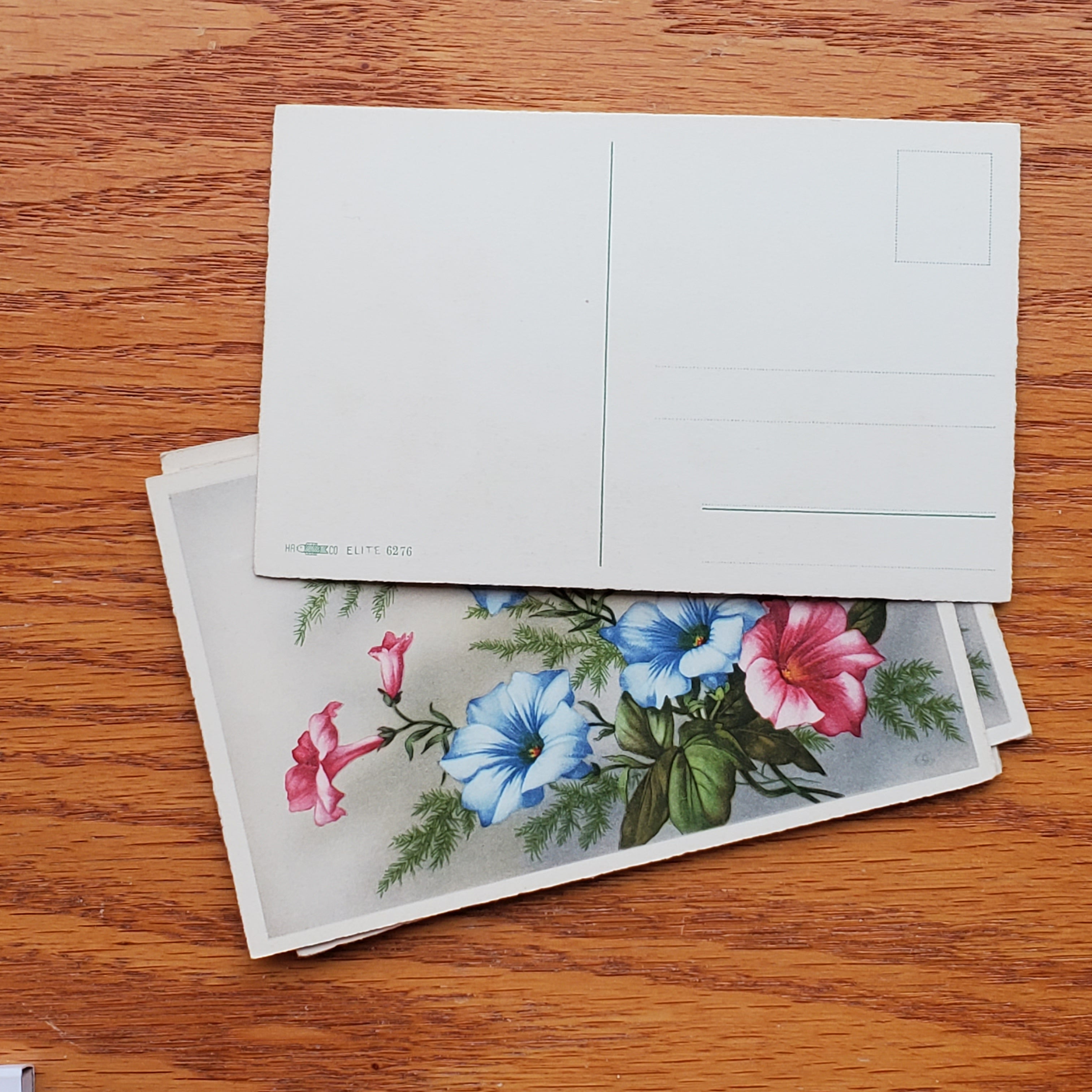 Floral Vintage H.A.&Co Postcards
