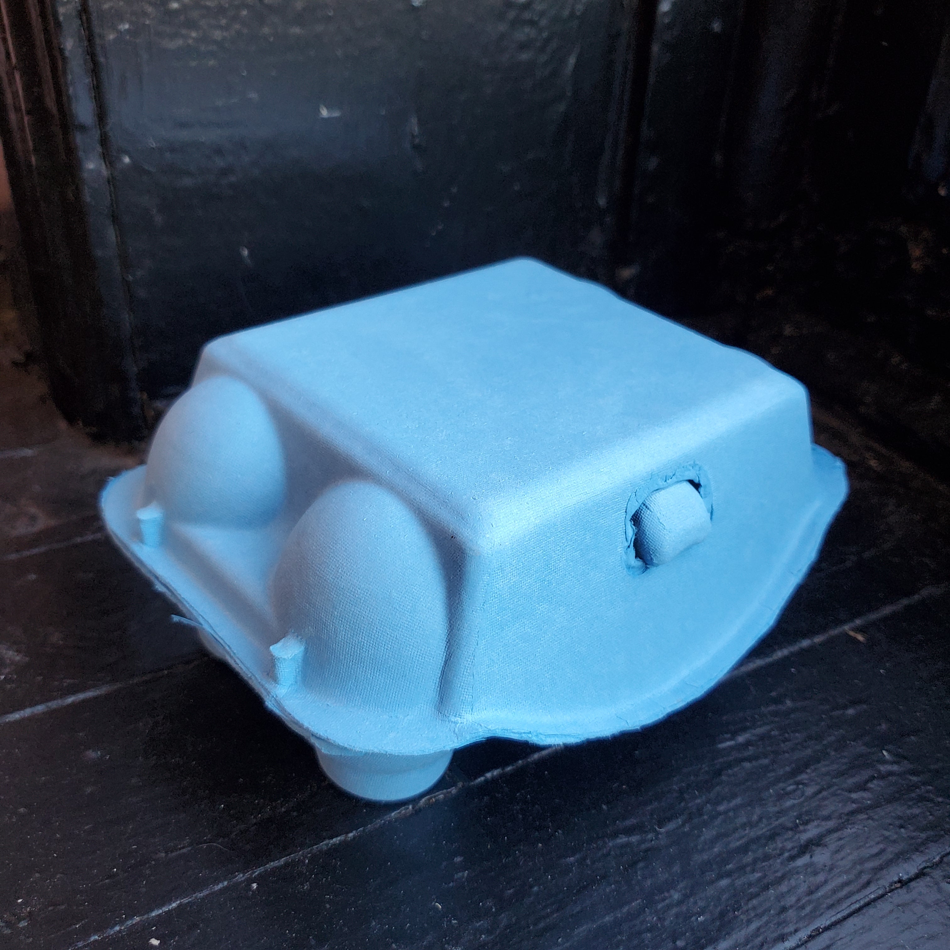 Paper Pulp Egg Carton