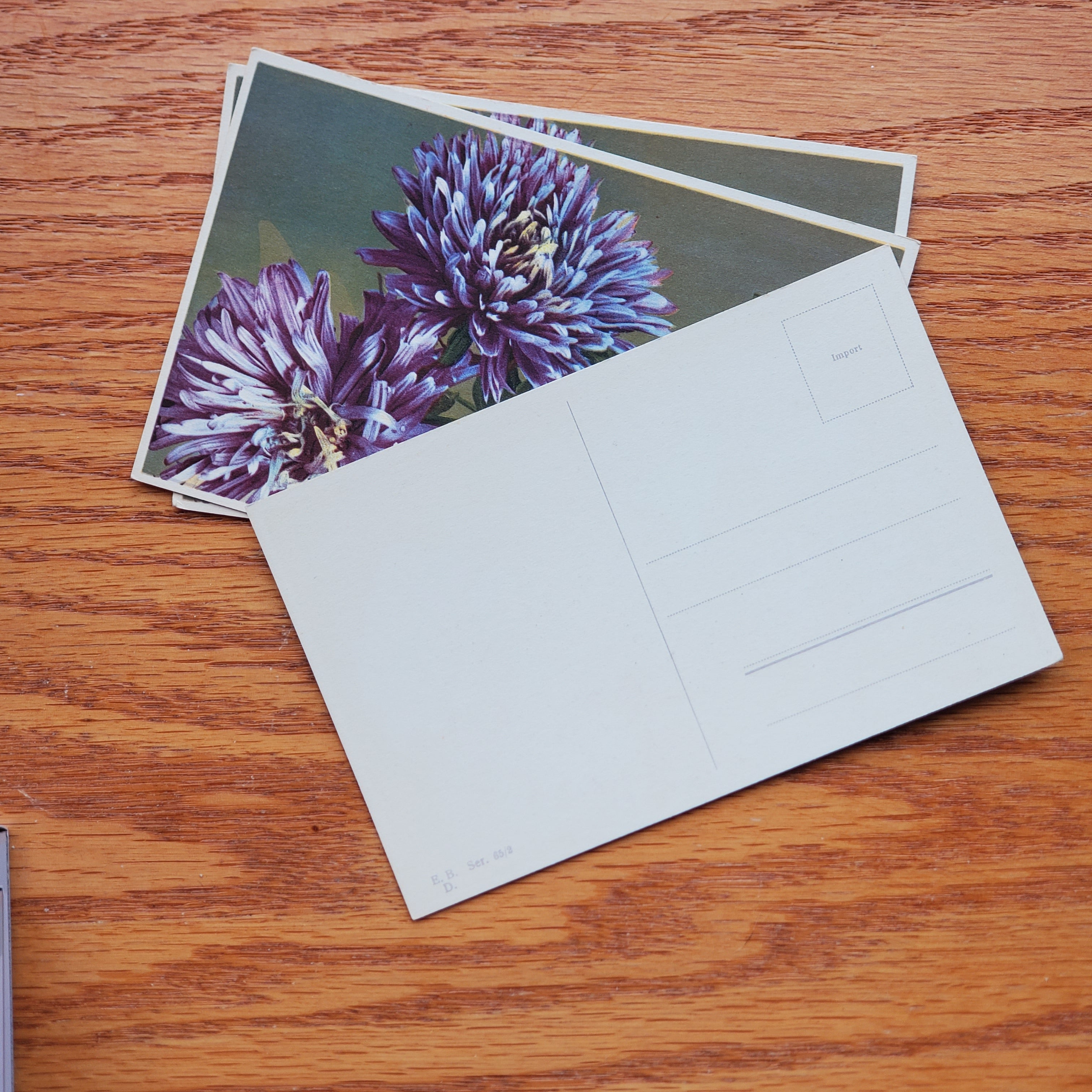 Floral Vintage E.D.B. Postcards