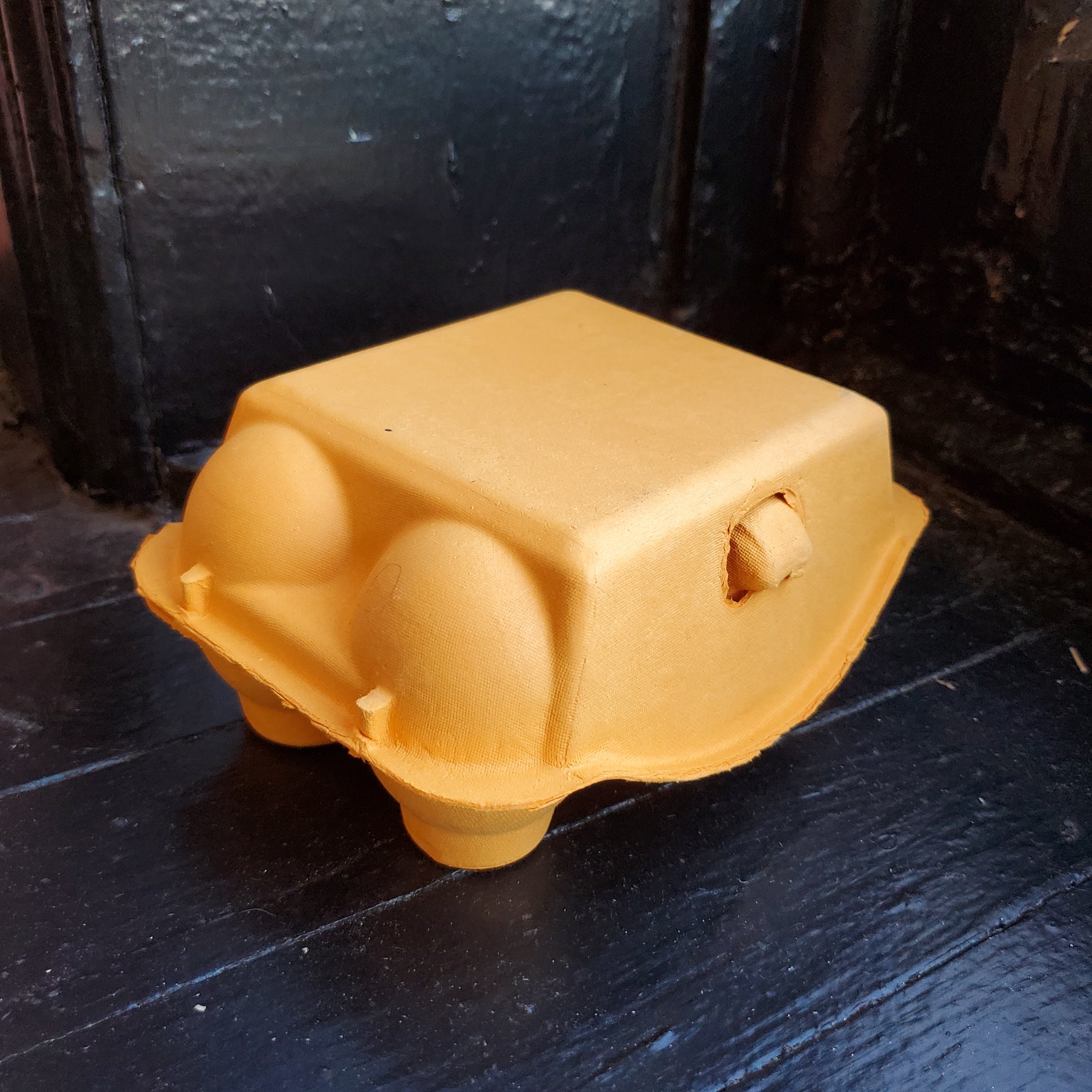 Paper Pulp Egg Carton