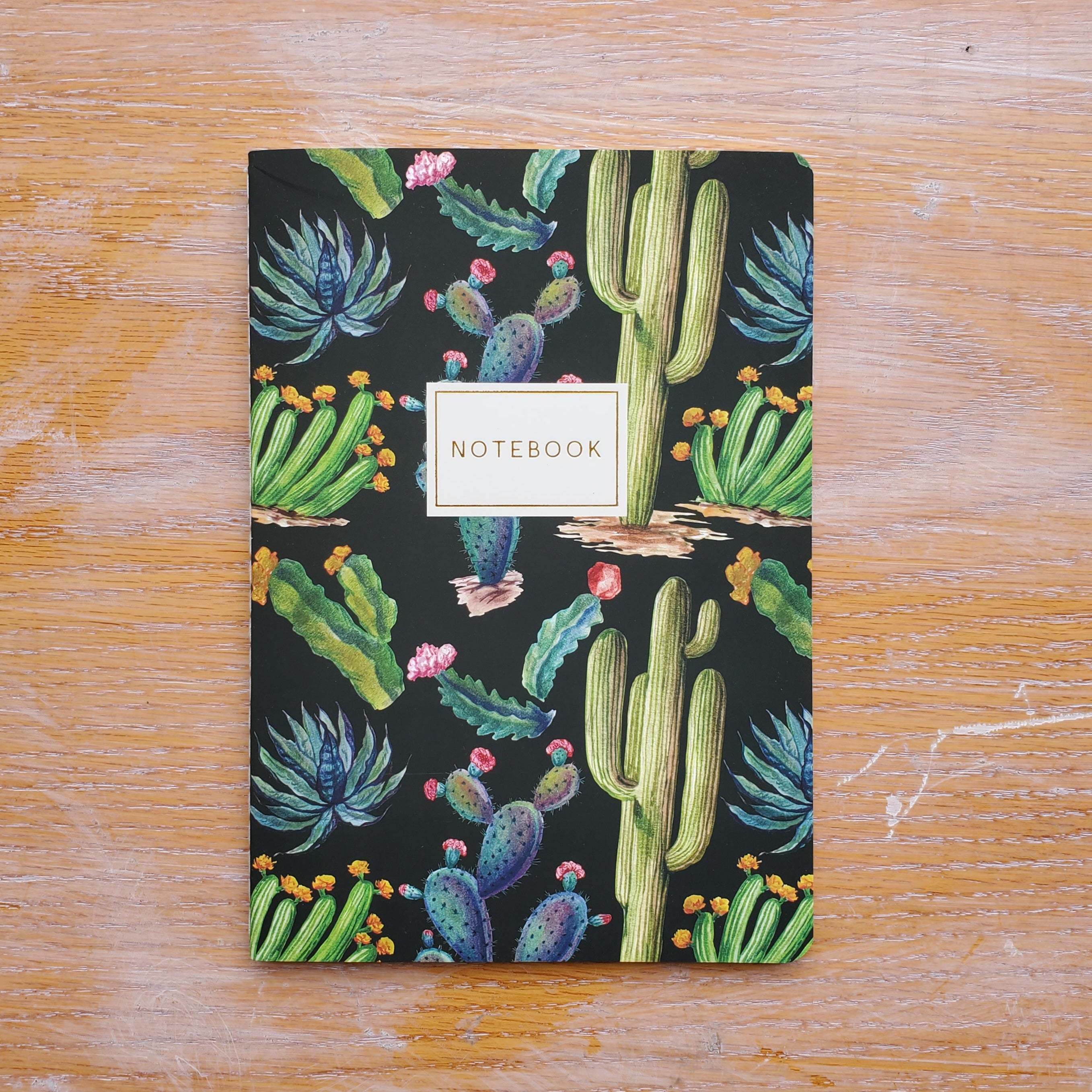 Cactus on Black Notebook