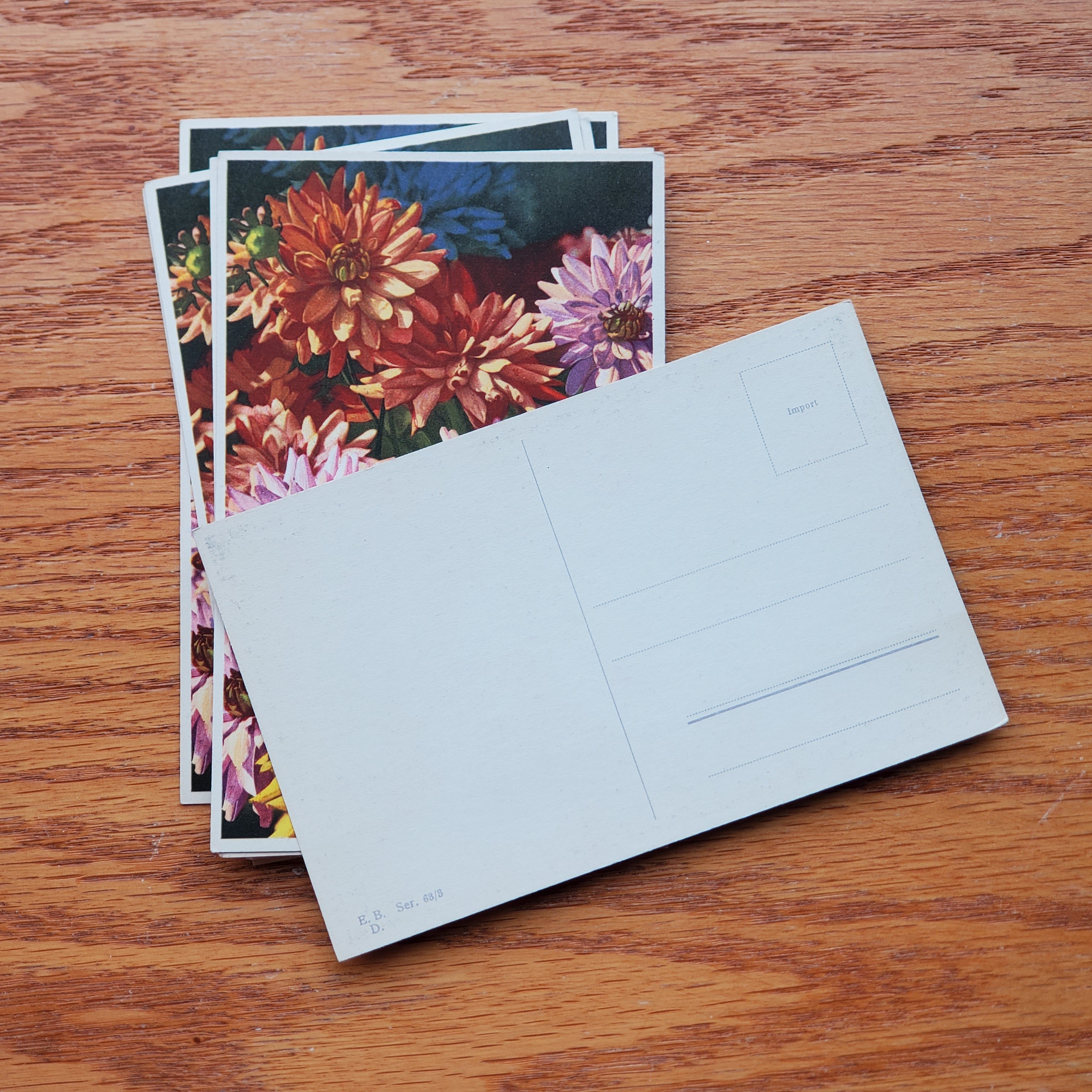 Floral Vintage E.D.B. Postcards