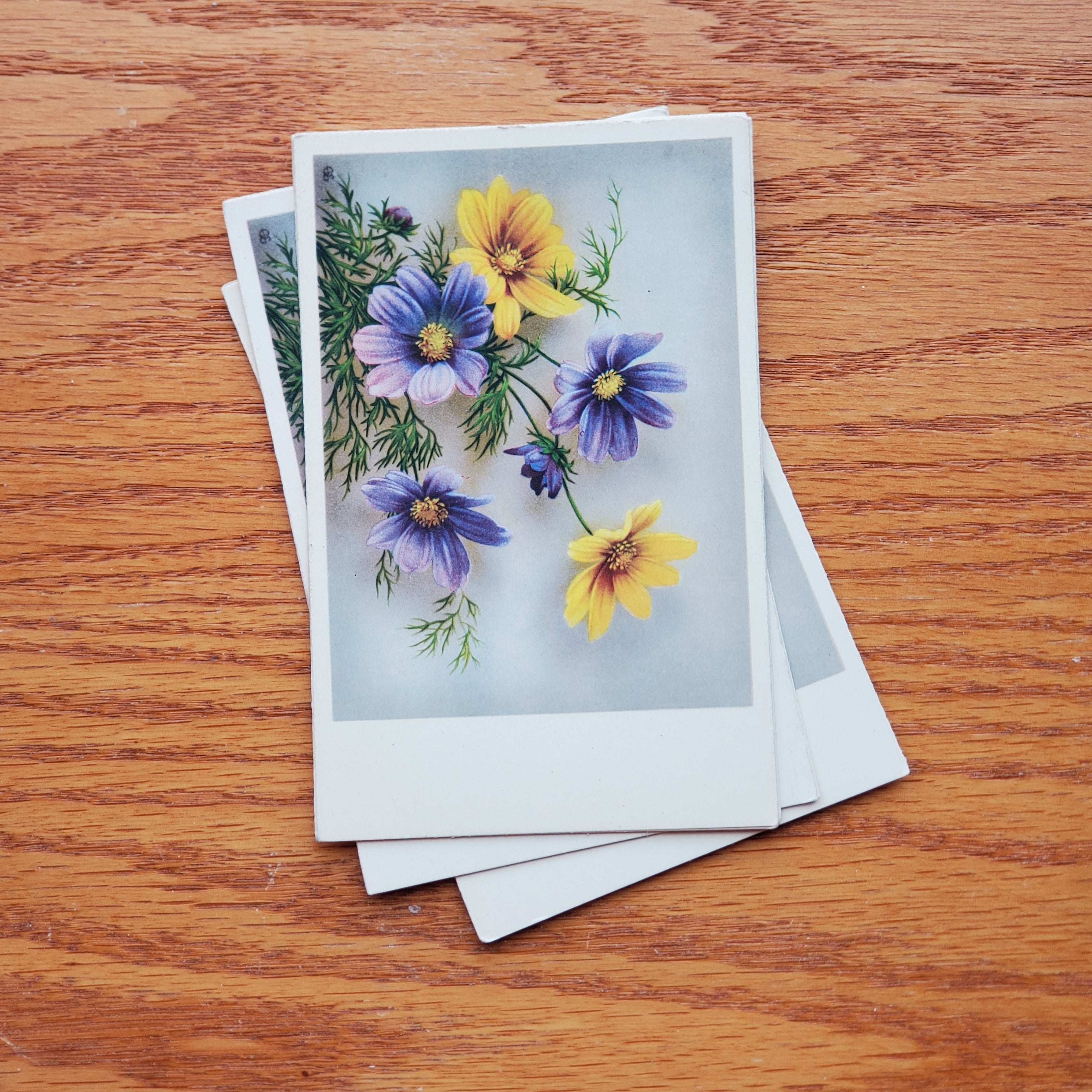 Floral Vintage H.A.&Co Postcards