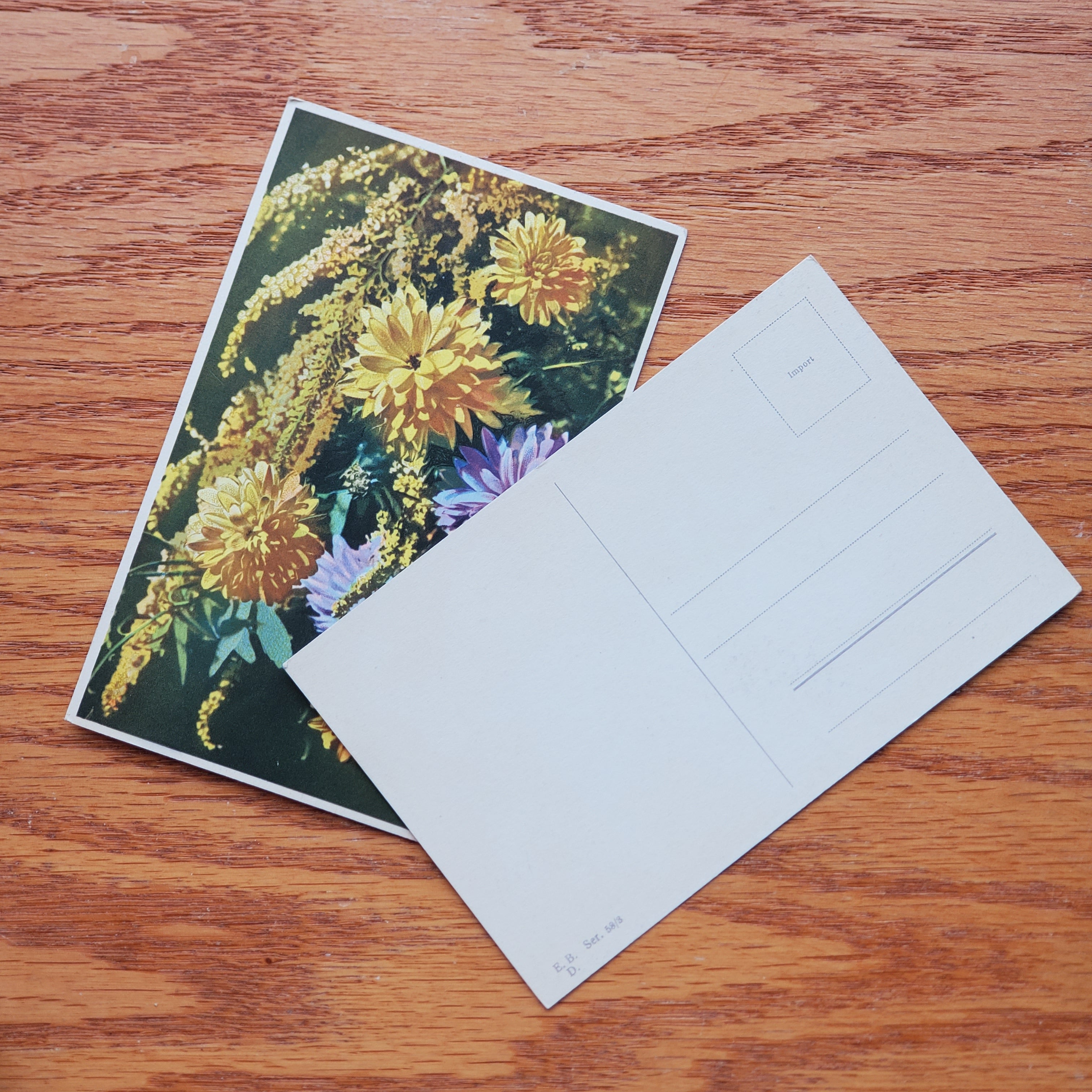 Floral Vintage E.D.B. Postcards