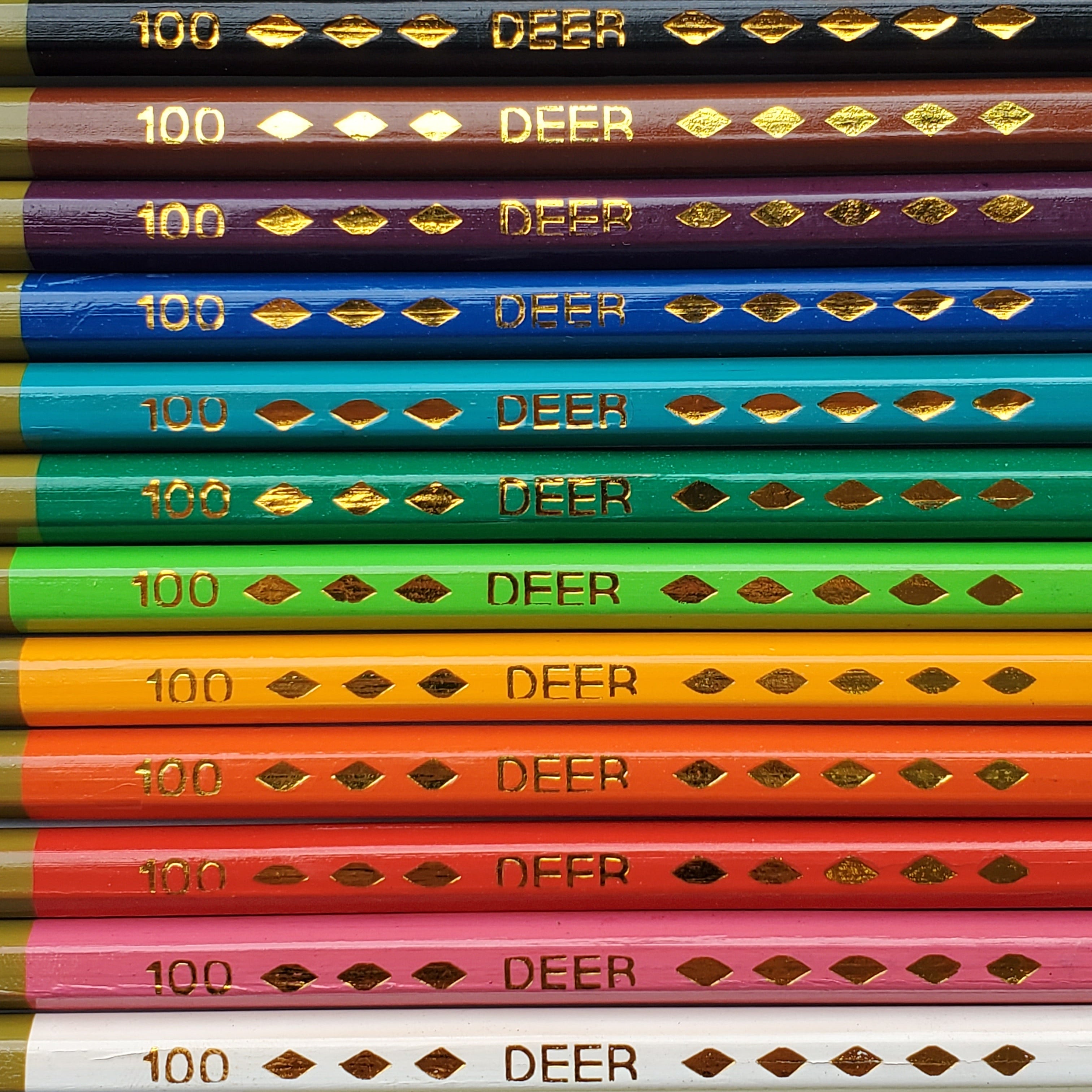 Vintage Deer Colored Pencil Set / 12 colors