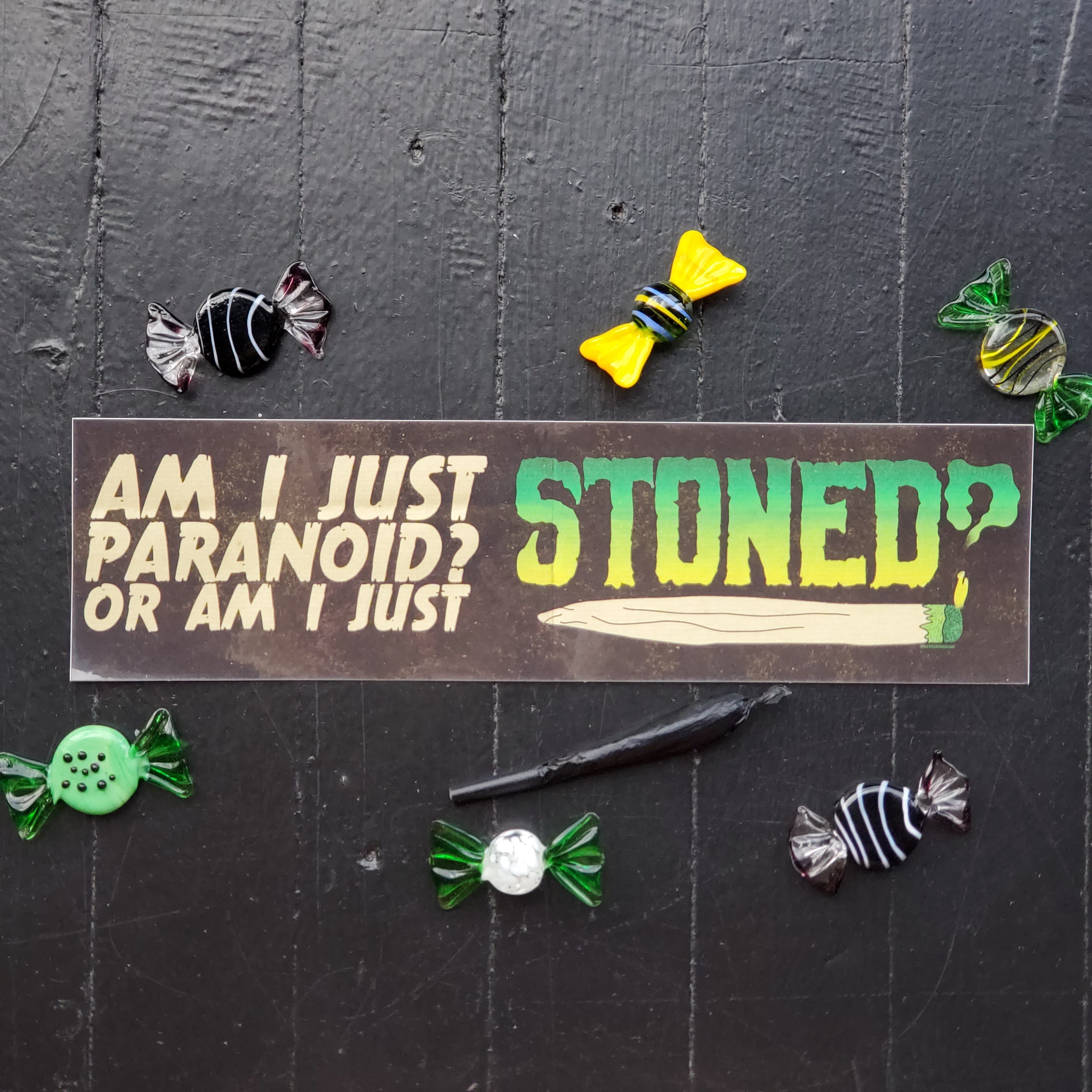 Paranoid or Stoned Bumper Sticker