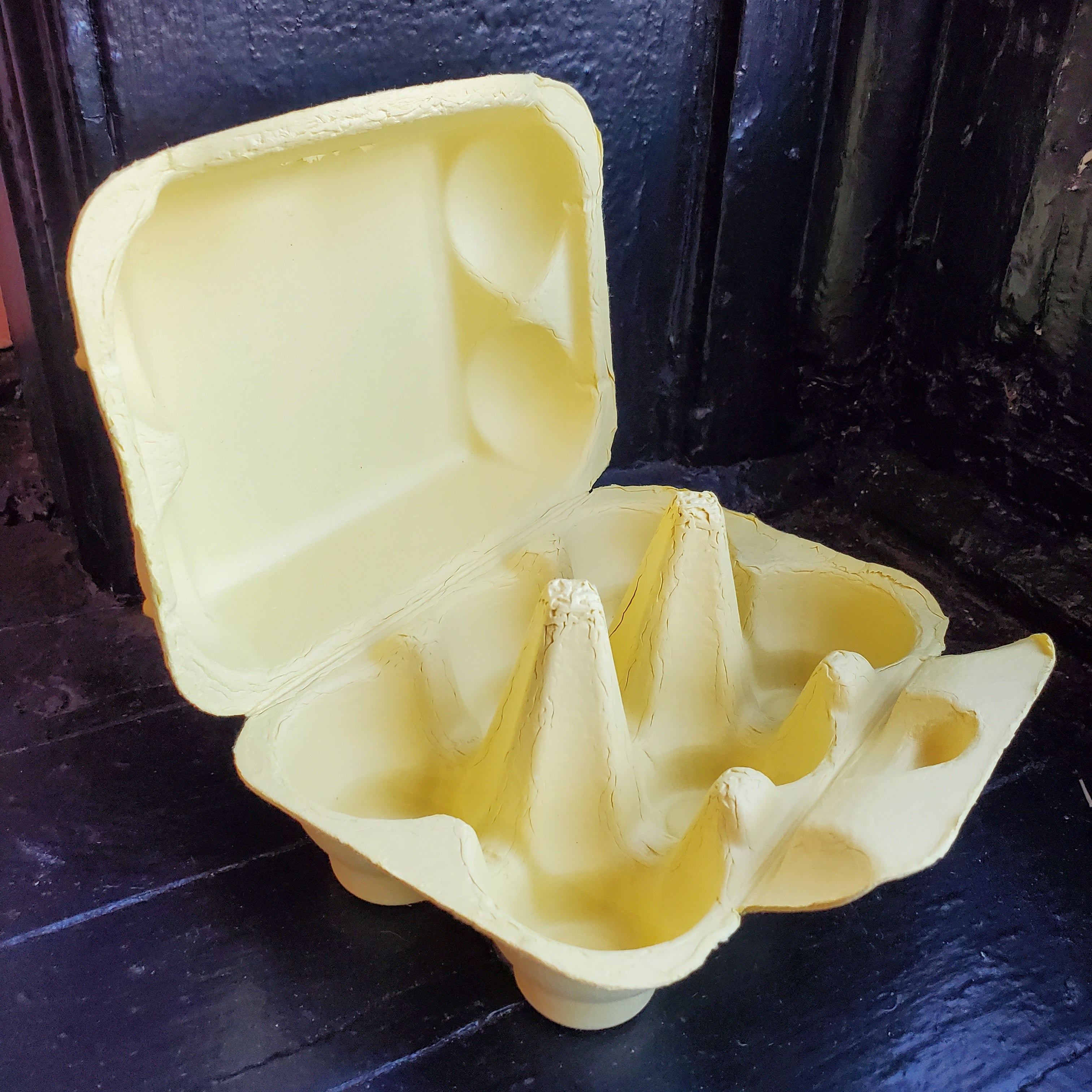 Paper Pulp Egg Carton