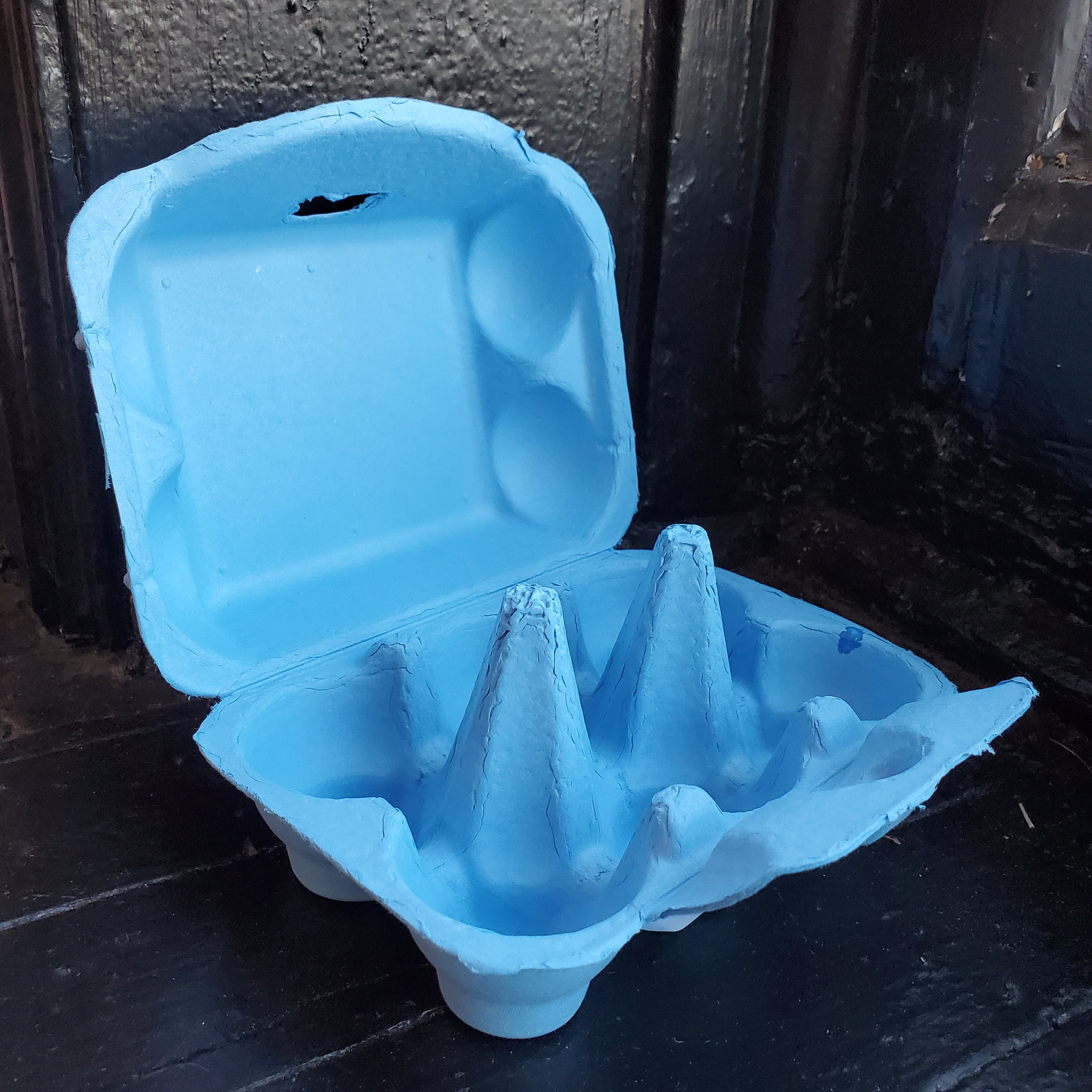 Paper Pulp Egg Carton