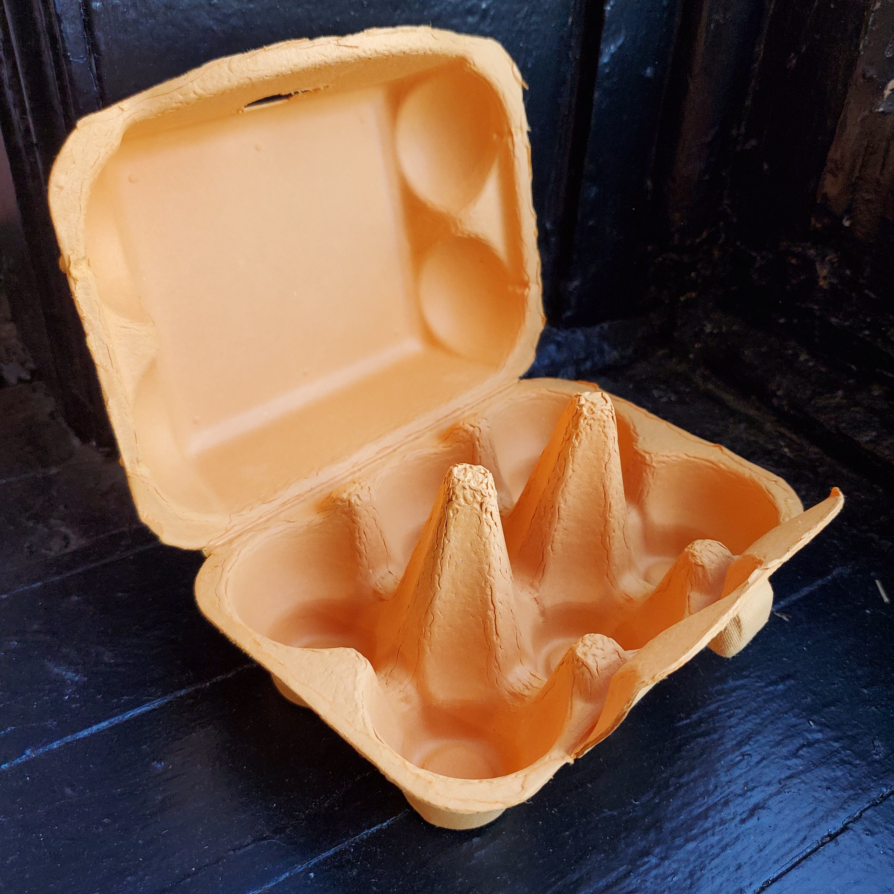 Paper Pulp Egg Carton