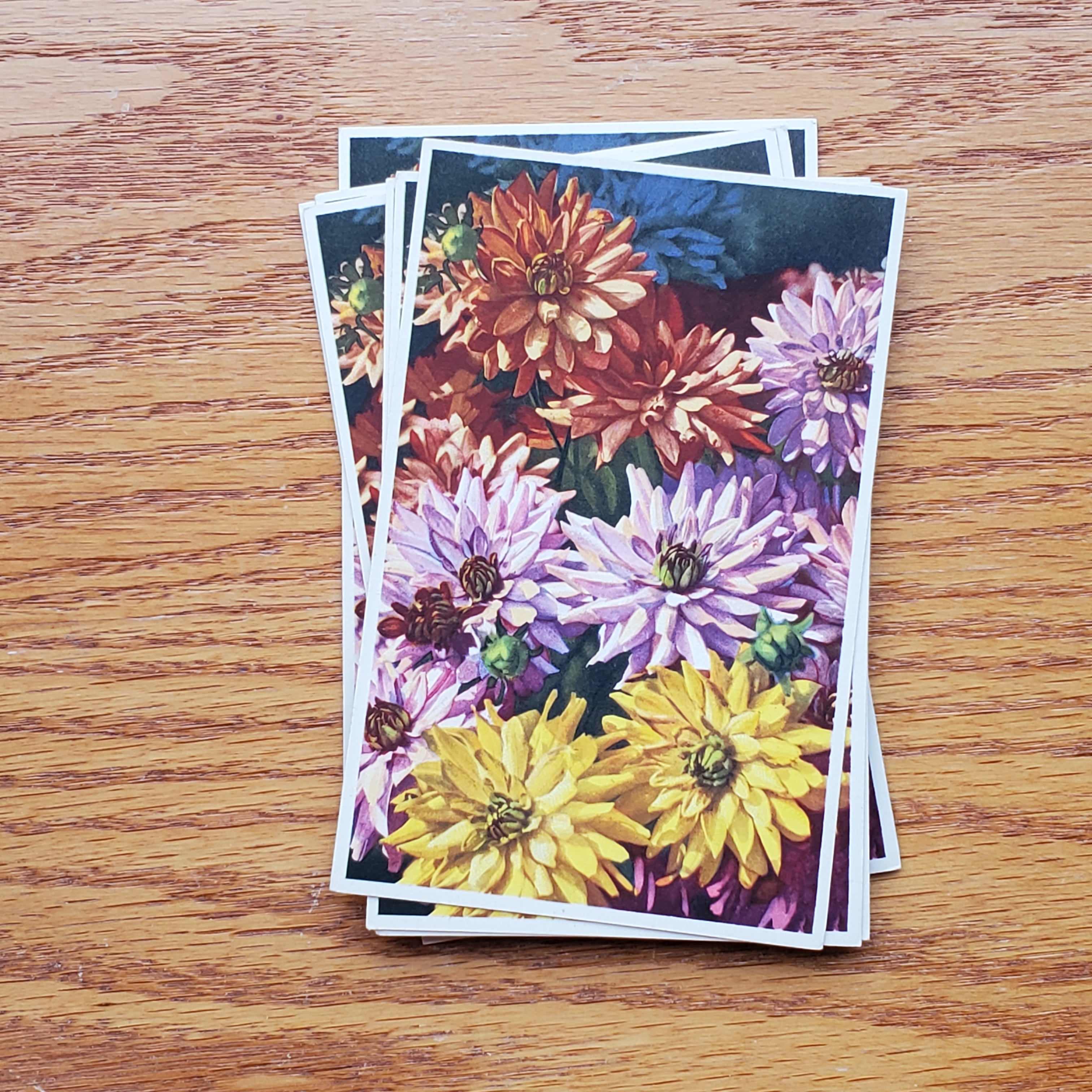 Floral Vintage E.D.B. Postcards