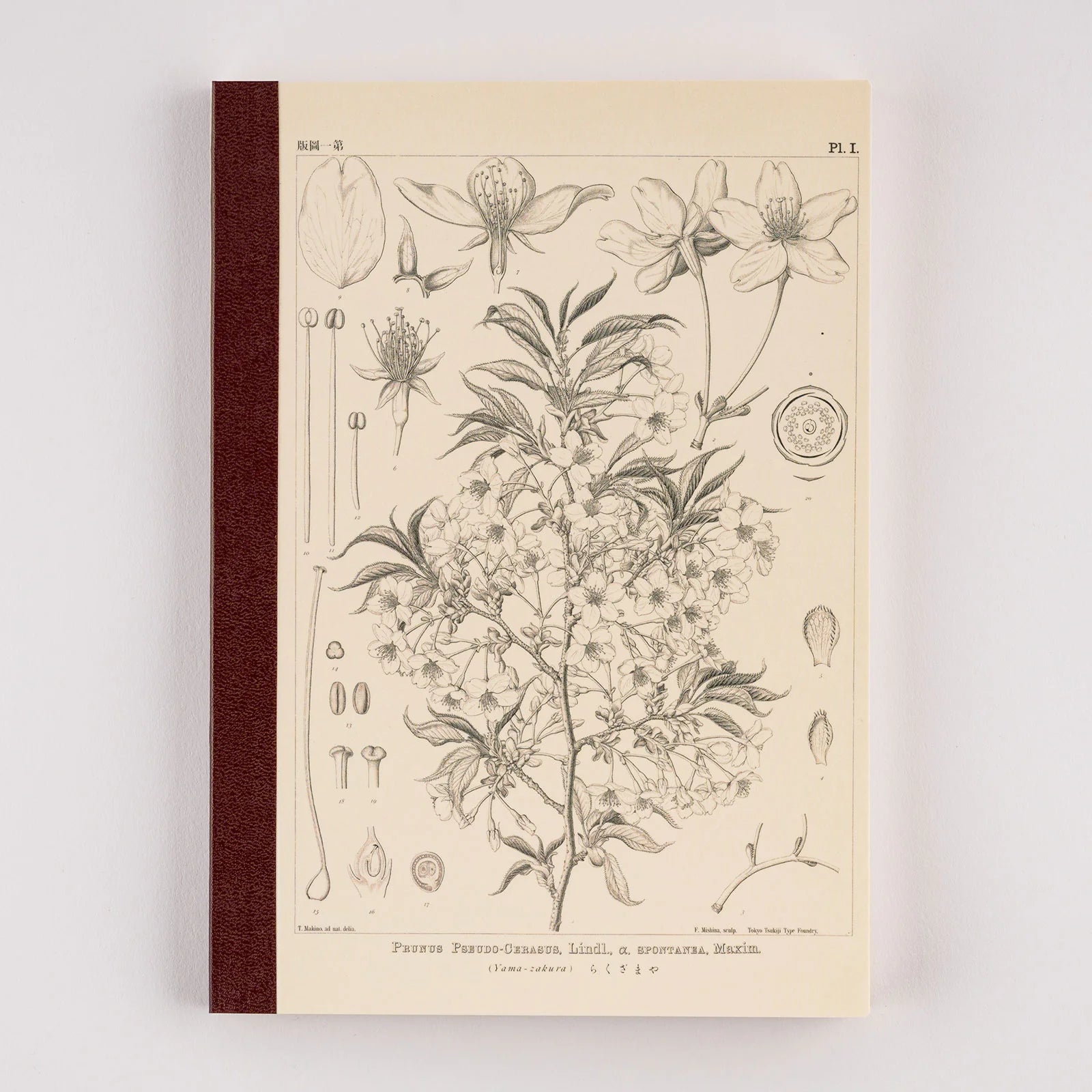 Hobonichi Grid Notebook / A5 / Tomitaro Makino