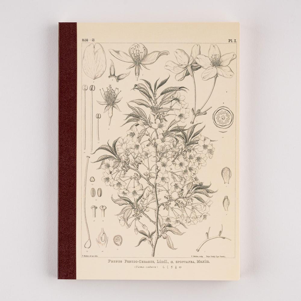 Hobonichi Techo / Tomitaro Makino: Hobonichi Graph Notebook (A5) - Yamazakura