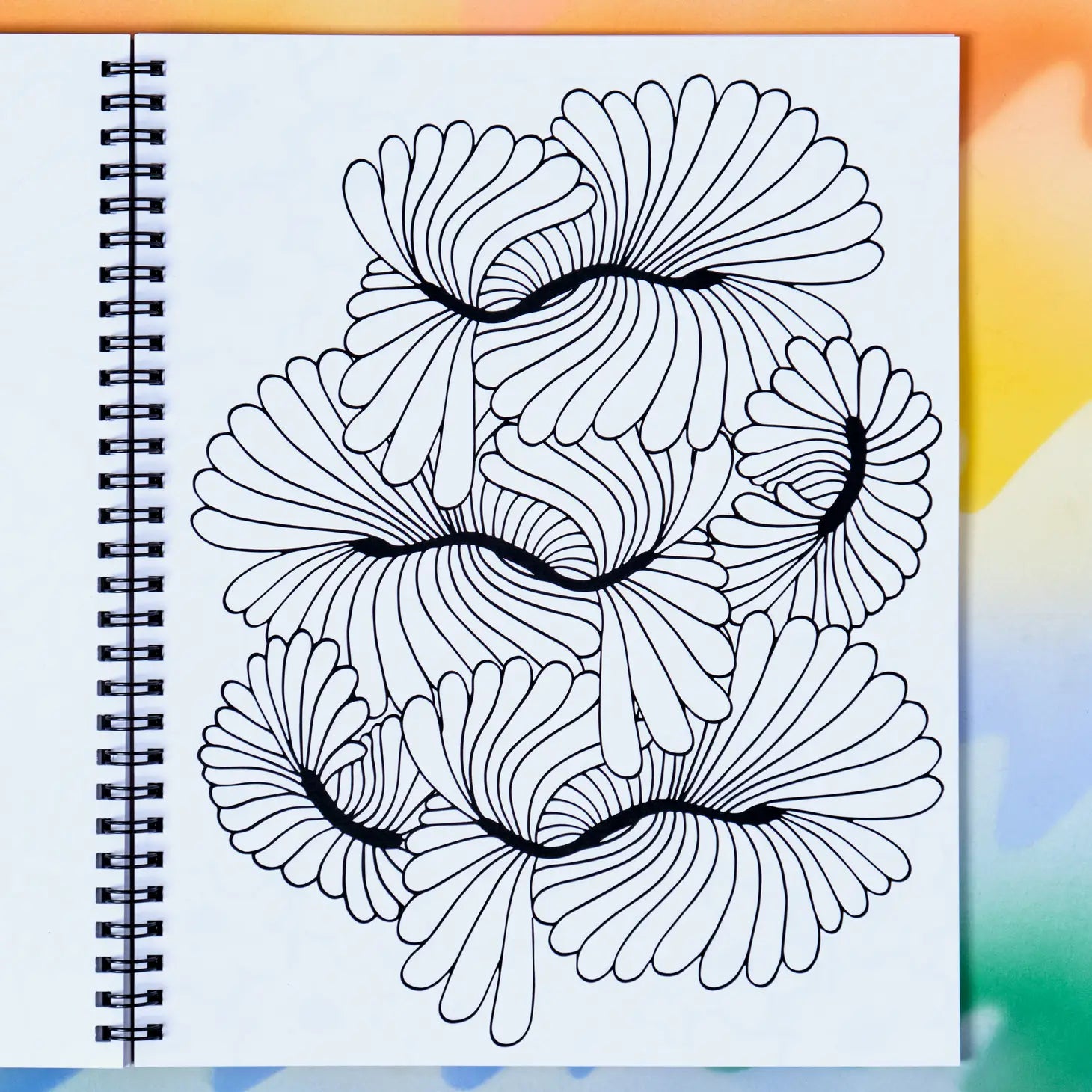 Better In Color Coloring Book
