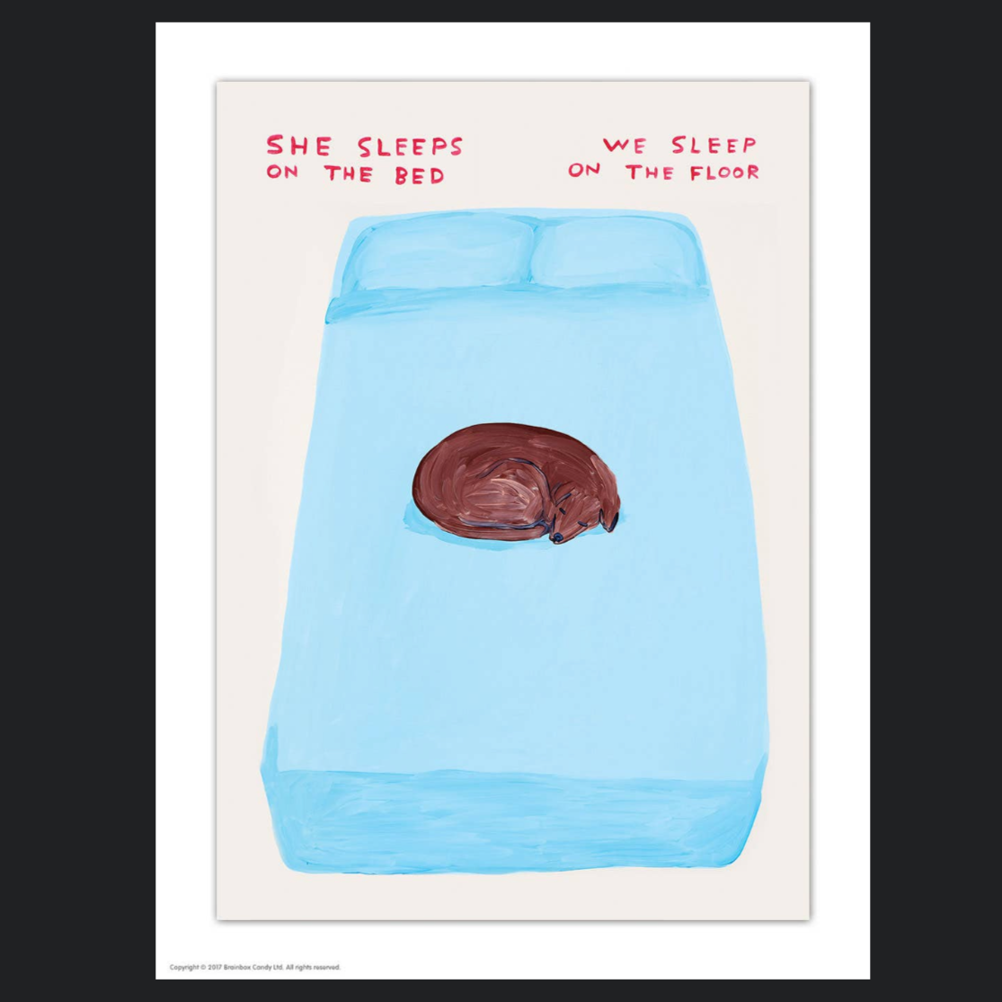 She Sleeps On The Bed Postcard