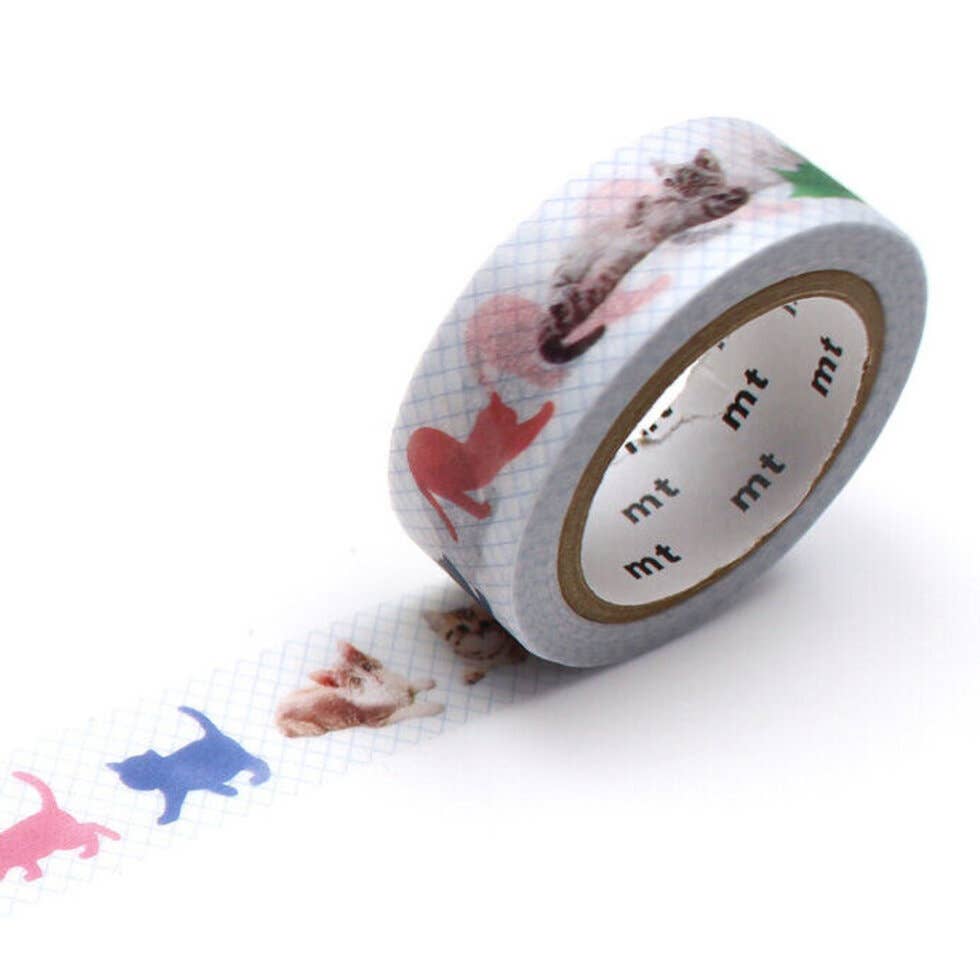 15mm kitten