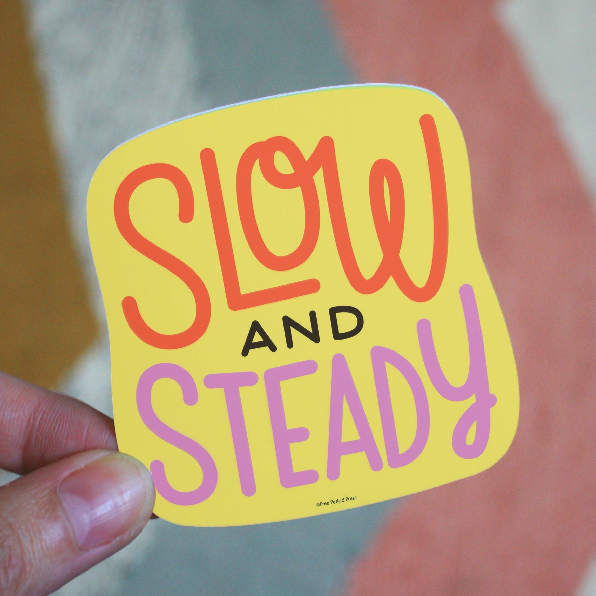 Slow and Steady Vinyl Sticker