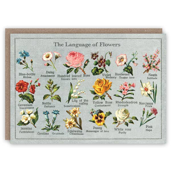 Language of Flowers Card