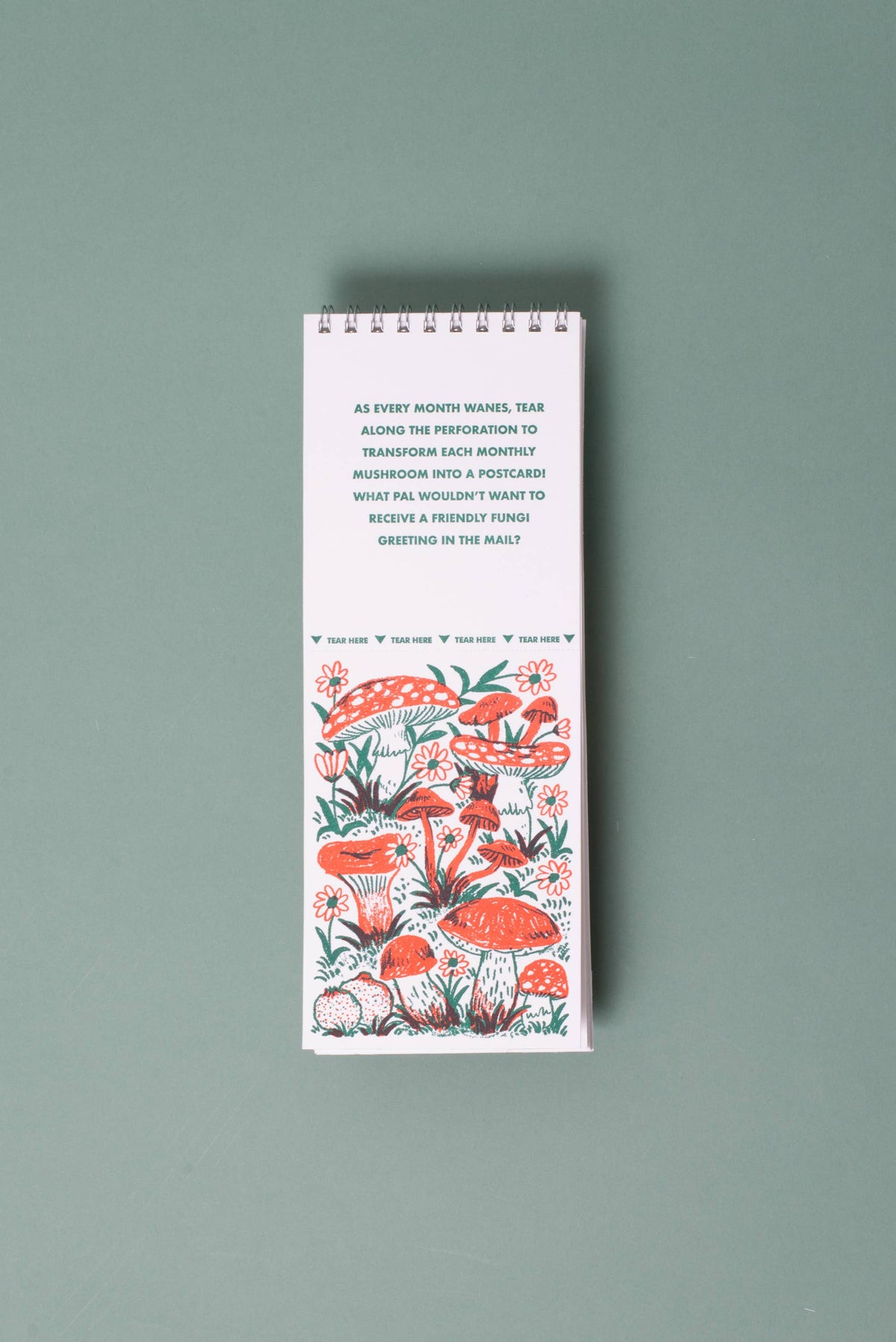 2027 Gnomes & Mushrooms Postcard Wall Calendar by Phoebe Wahl