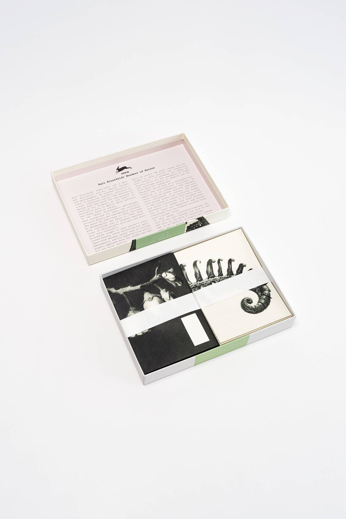 Wonders of Nature Correspondence Set