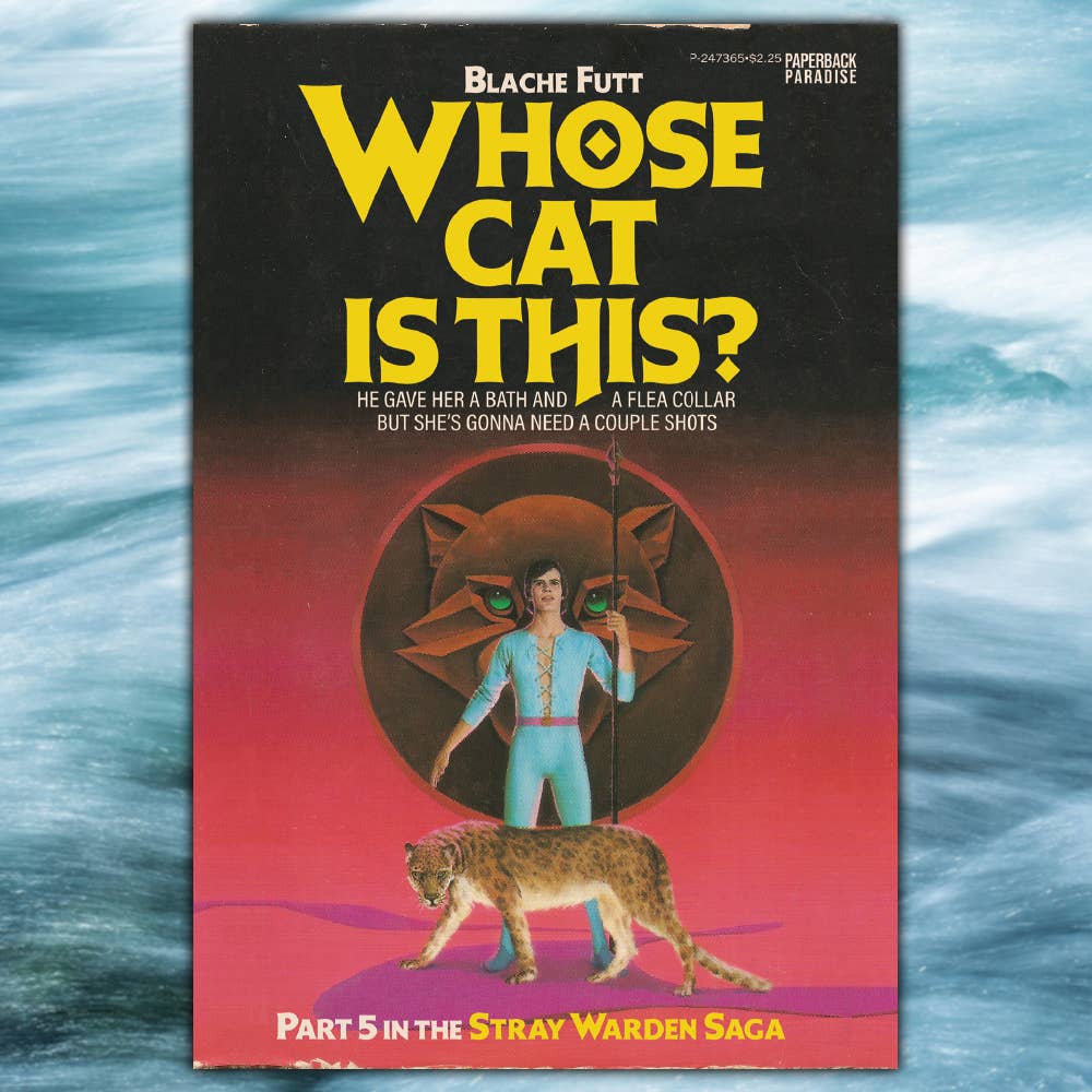 Whose Cat is This? Postcard