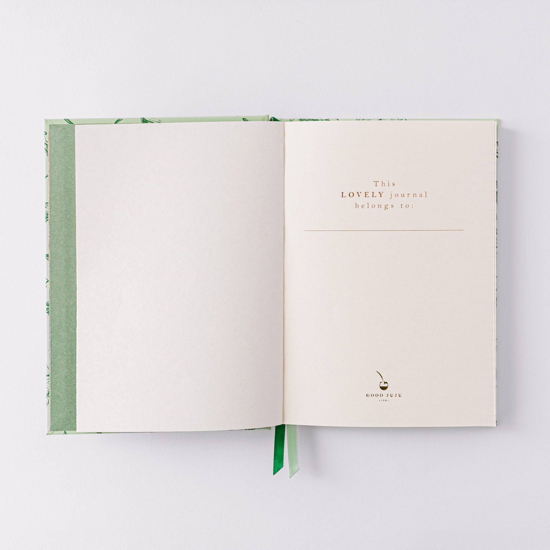 Green Botanical Bird Toile Journal
