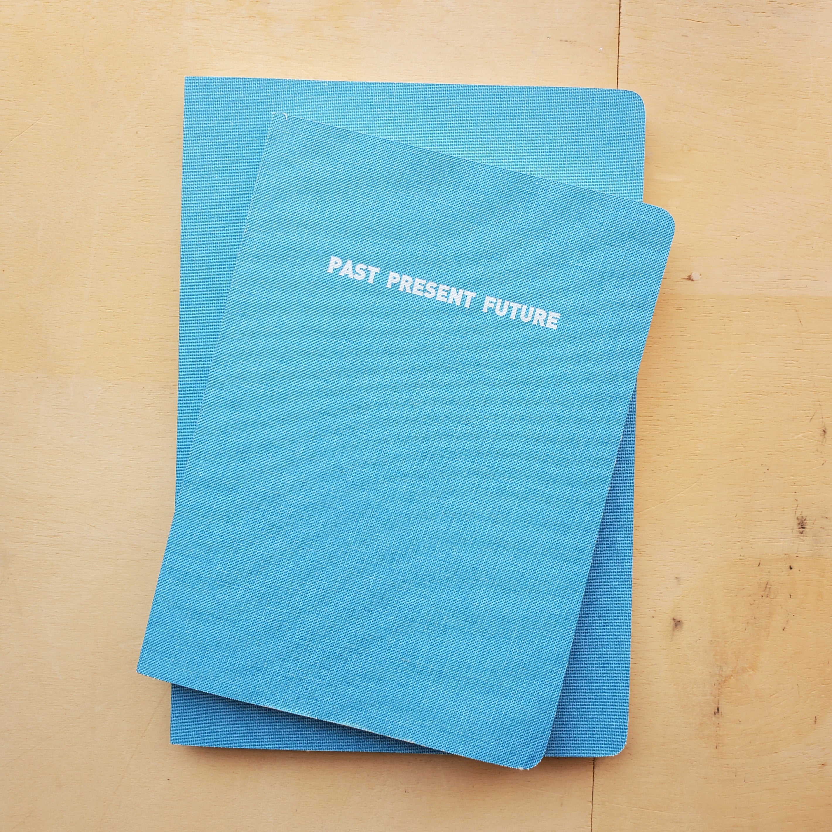 Medium Past Present Future Notebook / Light Blue