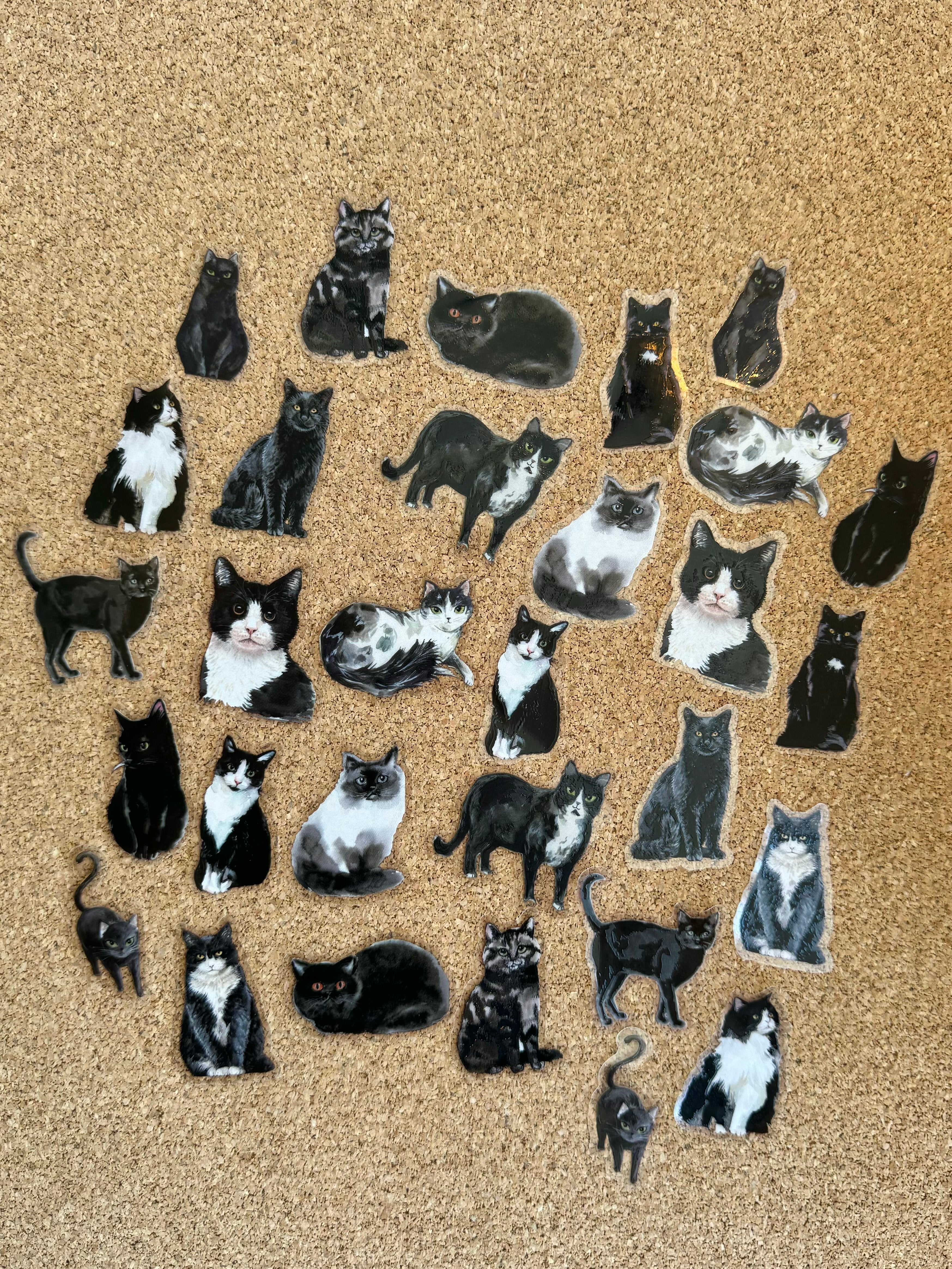 Black cat sticker pack