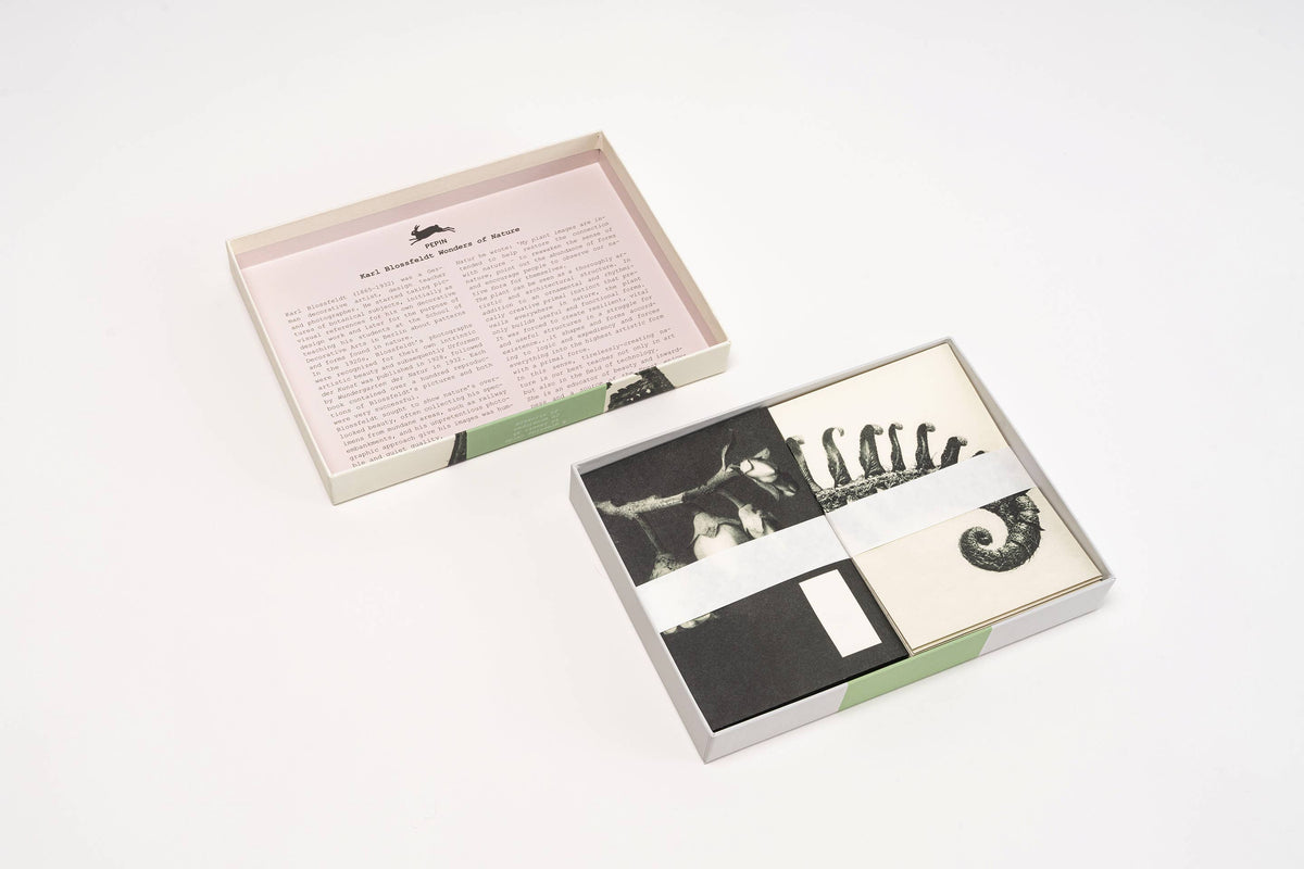 Wonders of Nature Correspondence Set