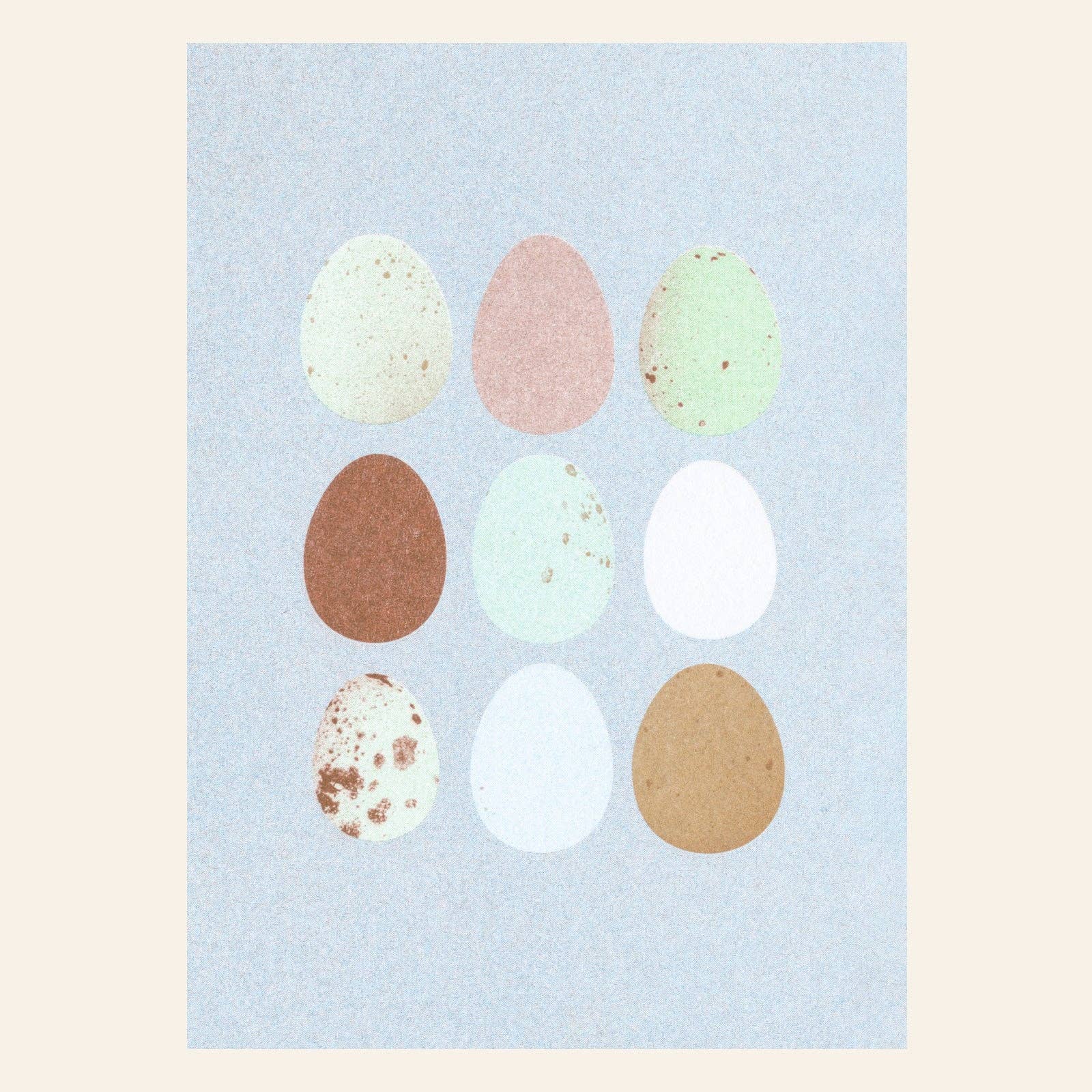 Eggs Nature Postcard